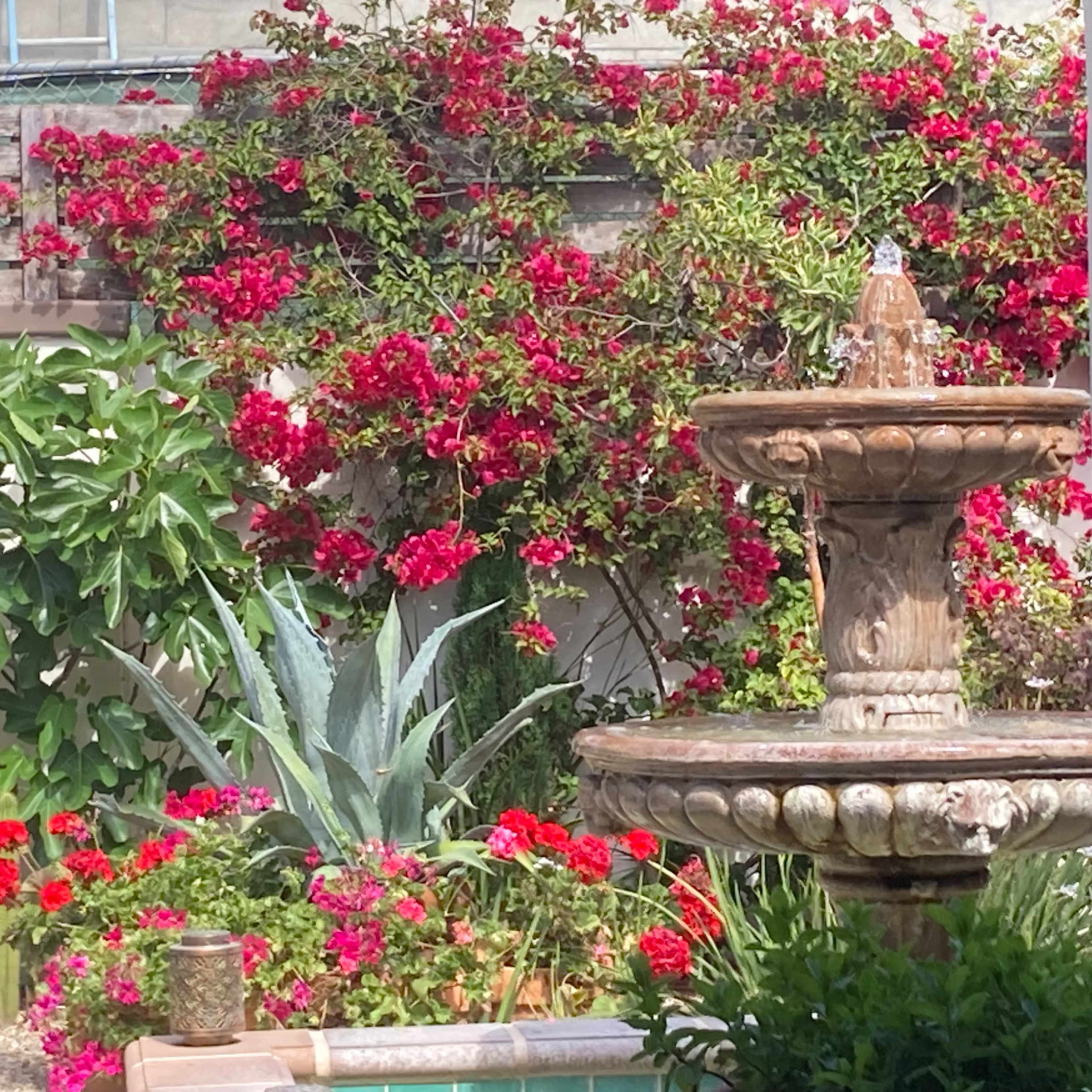 A stone fountain stands surrounded by lush greenery and vibrant red flowers in a garden.