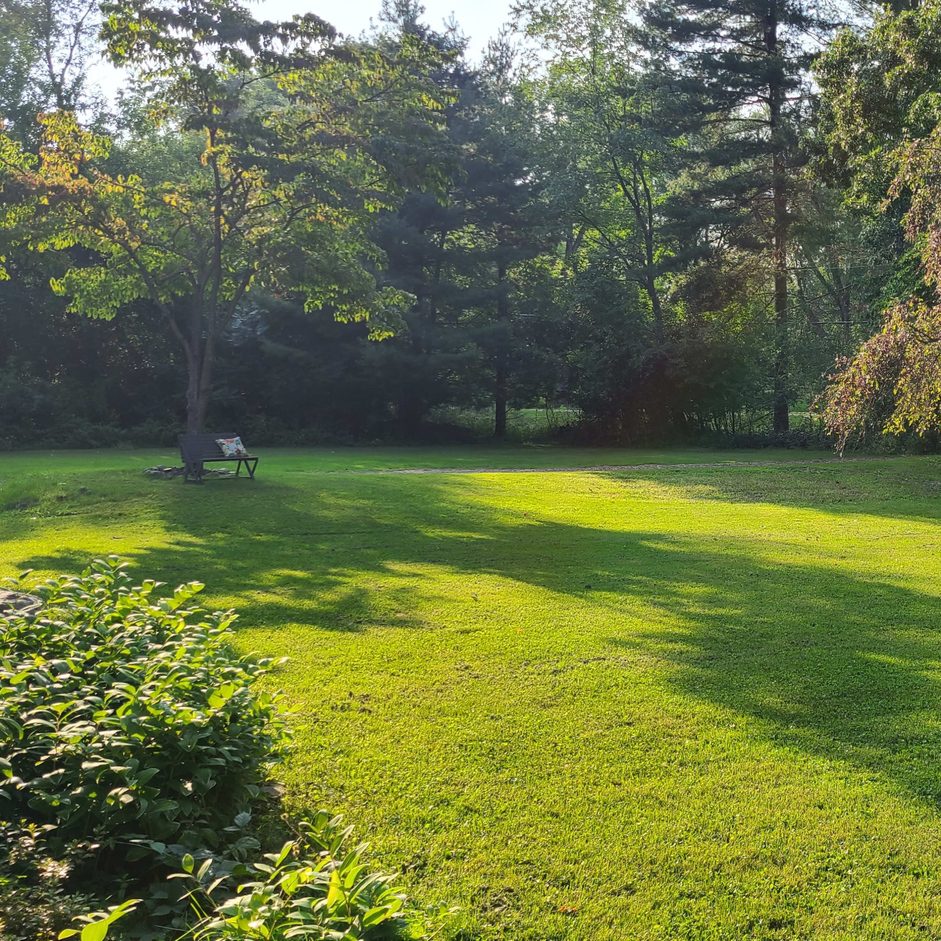 A green lawn bordered by trees, with long shadows cast across the grass.