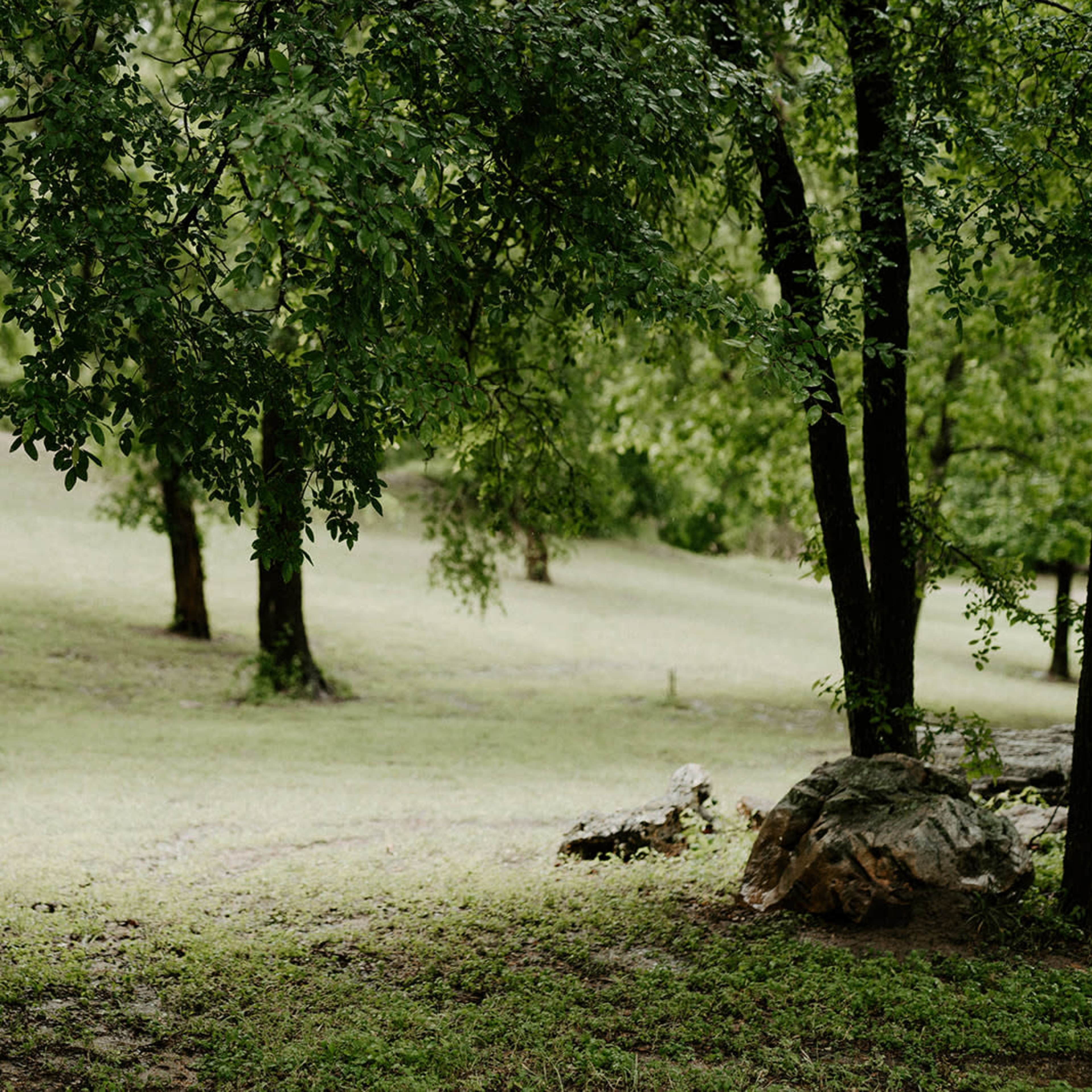 A grassy area is framed by trees, with a large rock visible in the foreground.