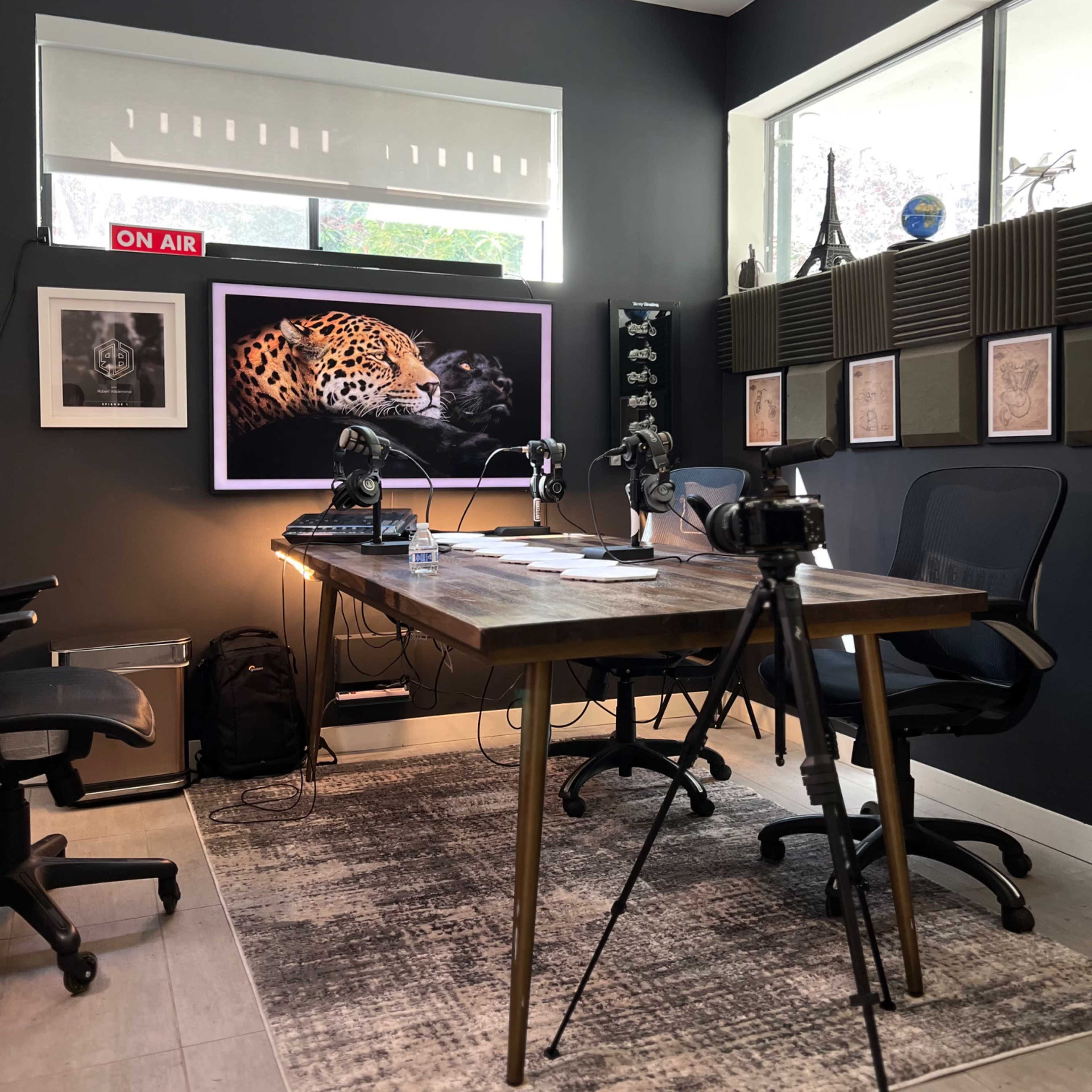 A recording studio with a table, chairs, and a large framed photo of a leopard on the wall, accompanied by microphones and camera equipment.