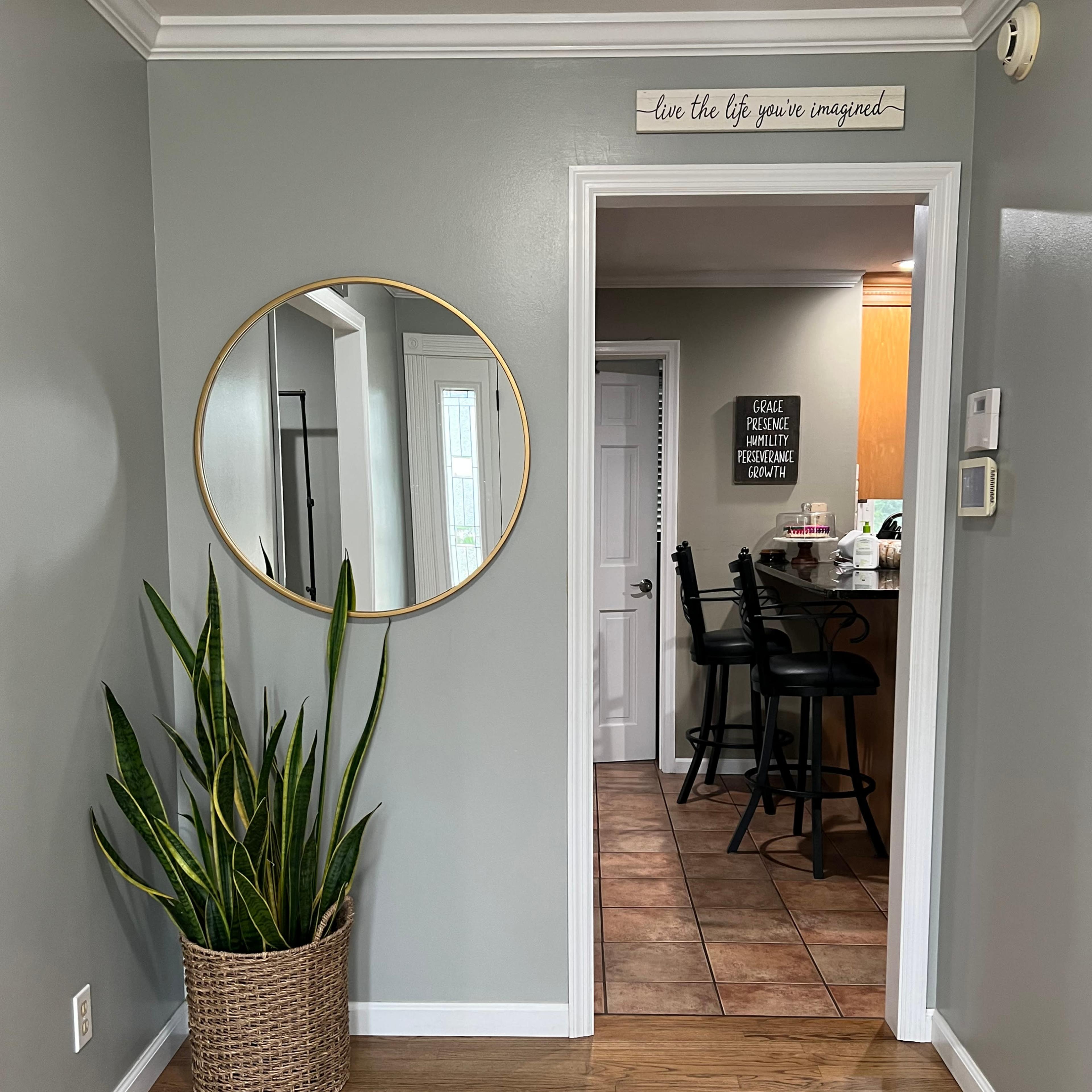 A round mirror hangs on a light gray wall next to a tall snake plant in a woven basket, facing an open doorway that leads to a kitchen area.