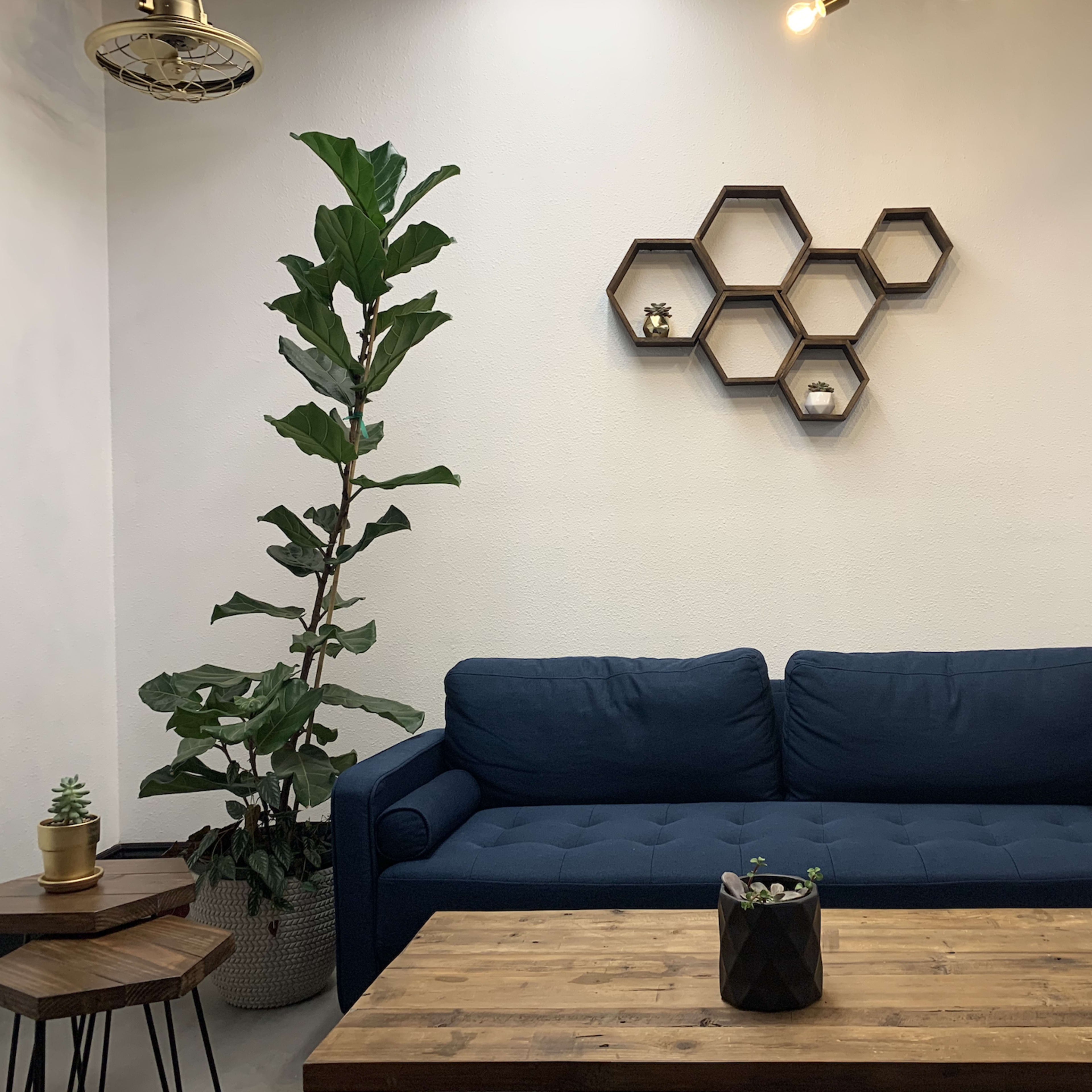 A cozy living space featuring a blue couch, a wooden coffee table, and hexagonal shelves mounted on the wall, with plants placed around the area.