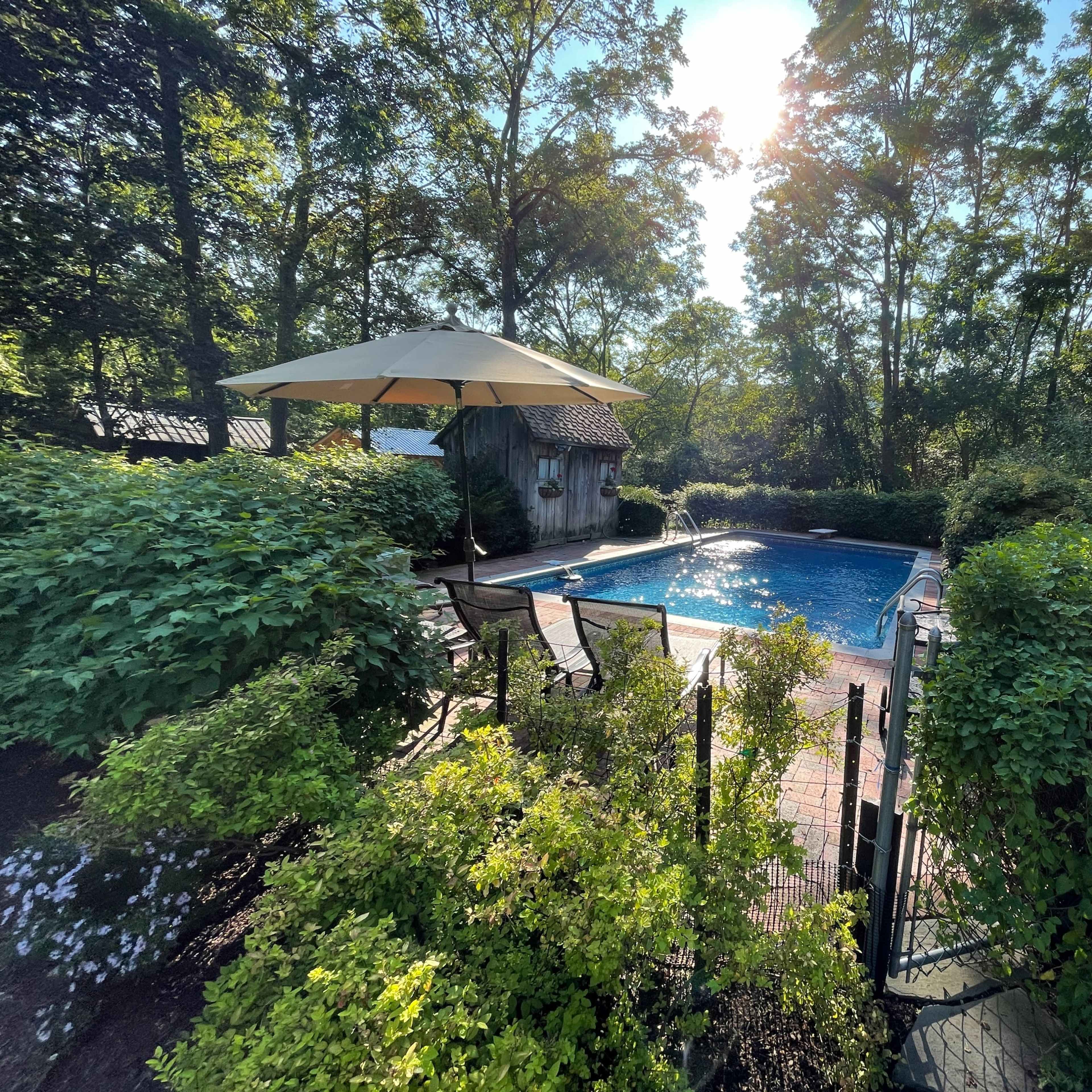 A rectangular swimming pool surrounded by greenery, a patio with chairs, and a large umbrella by the water's edge.