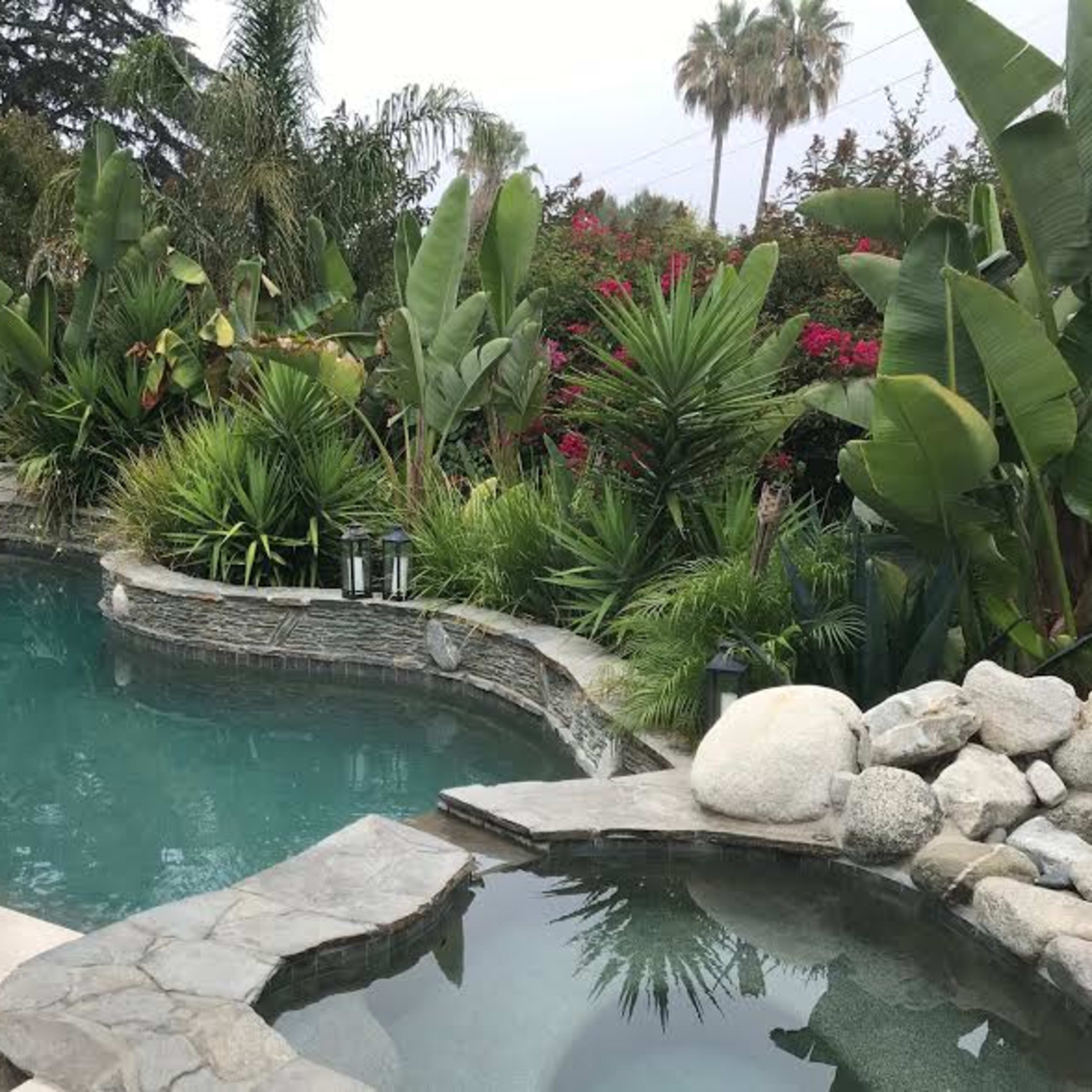 A landscaped backyard featuring a swimming pool surrounded by tropical plants and a stone patio with lounge chairs.