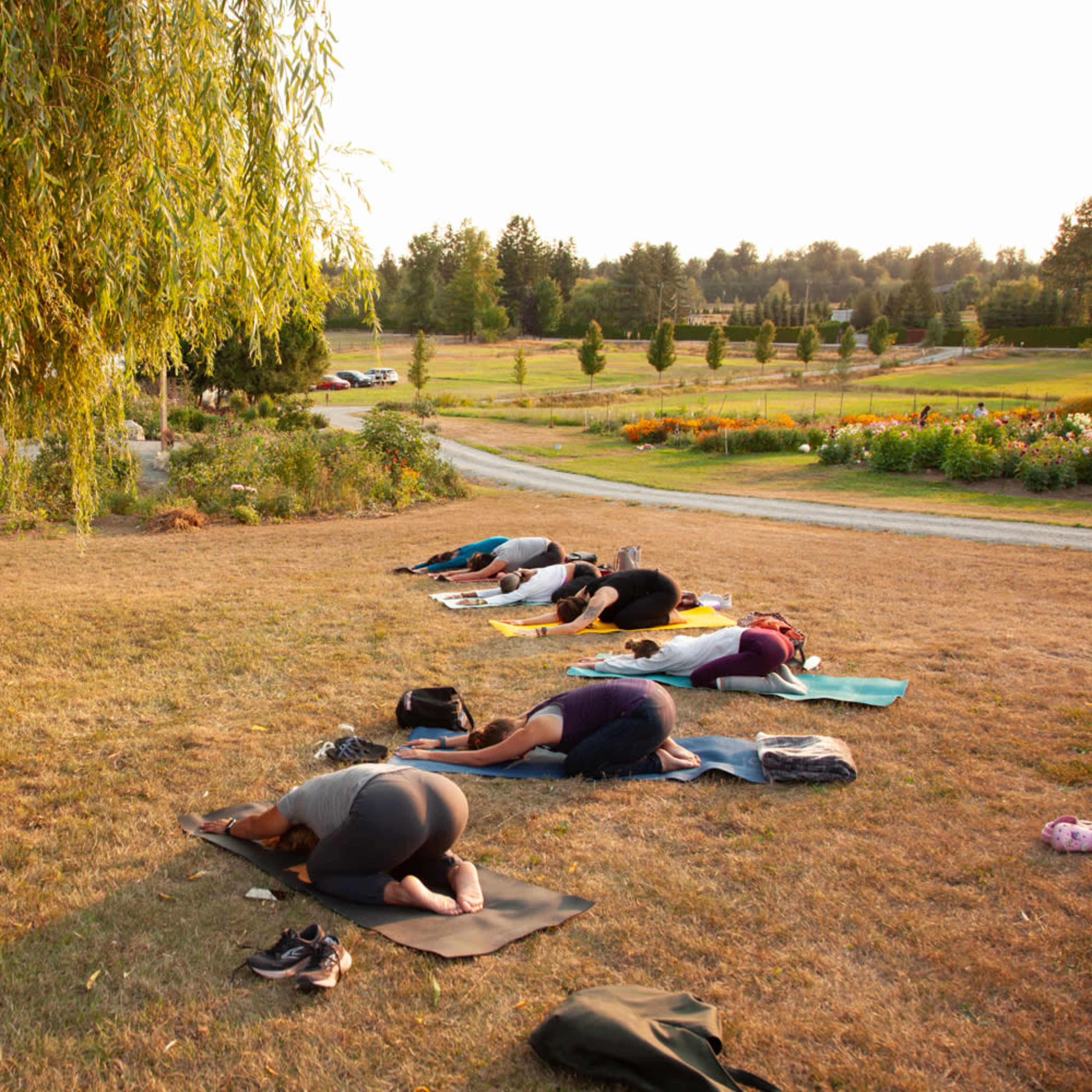 A group of people practices yoga outdoors on mats in a grassy area surrounded by trees and flowering gardens during sunset.