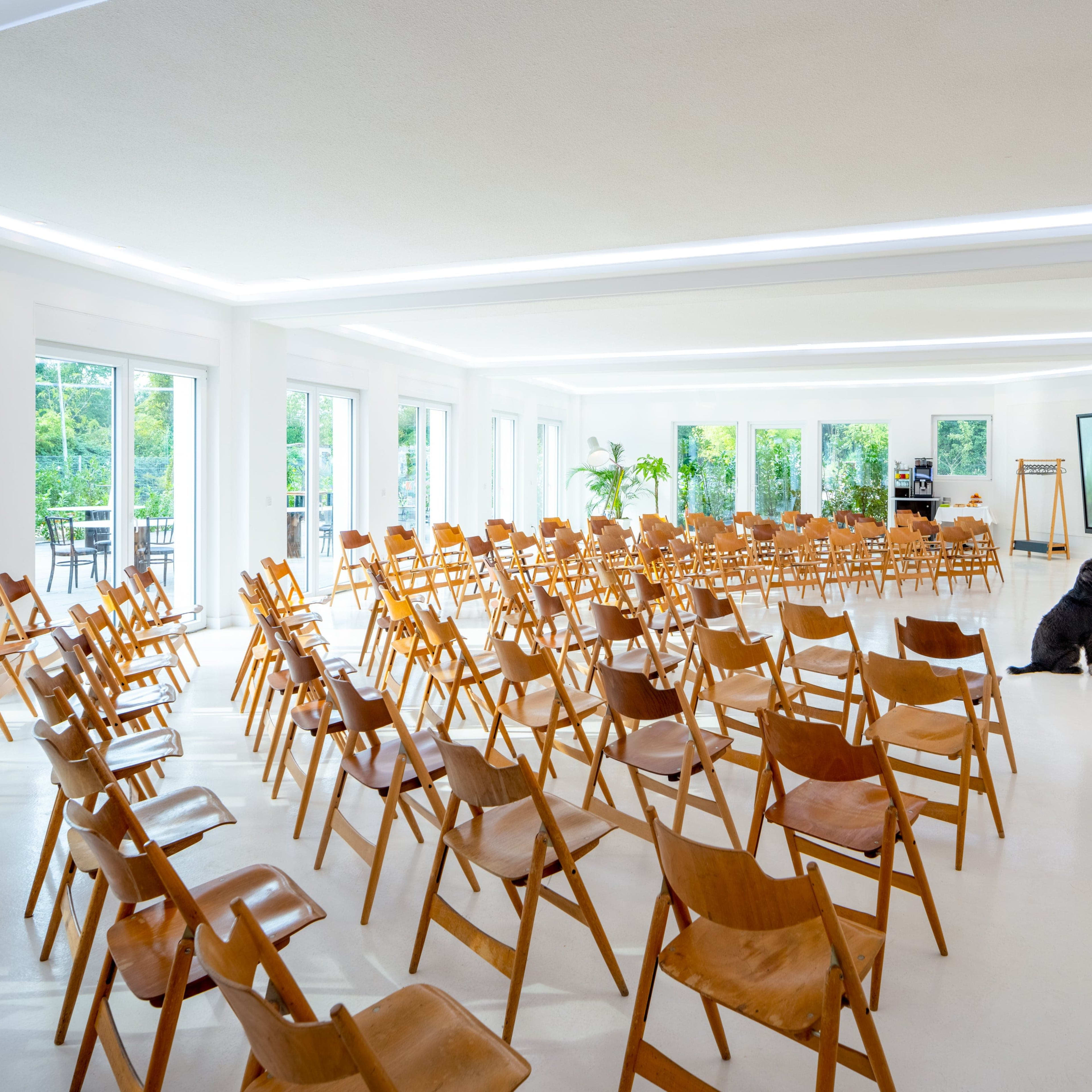 A spacious indoor room set up with rows of wooden chairs facing a screen, with large windows providing a view of greenery outside and a dog sitting near the screen.