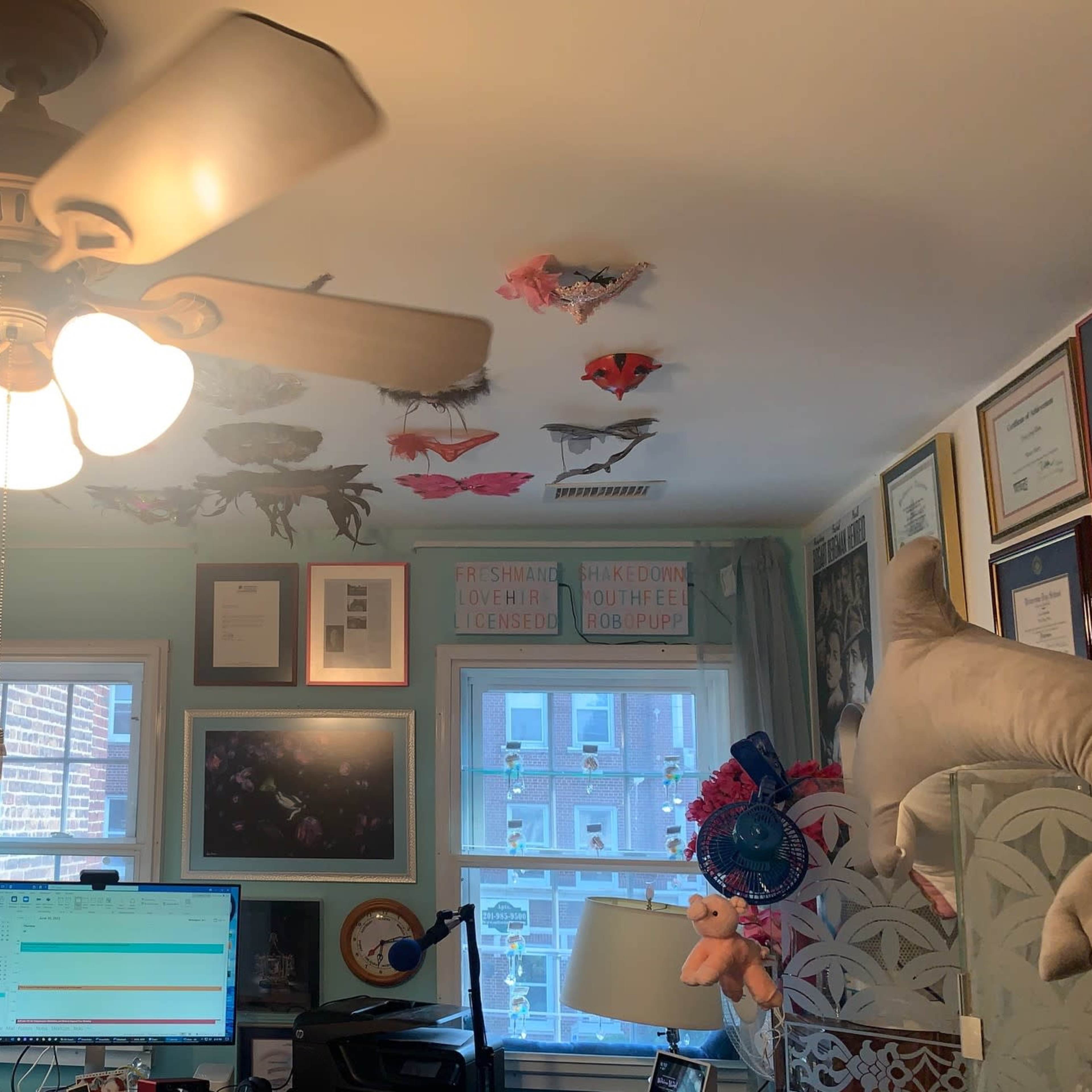 An indoor office space featuring a ceiling fan and various decorations attached to the ceiling above a desk with a computer.