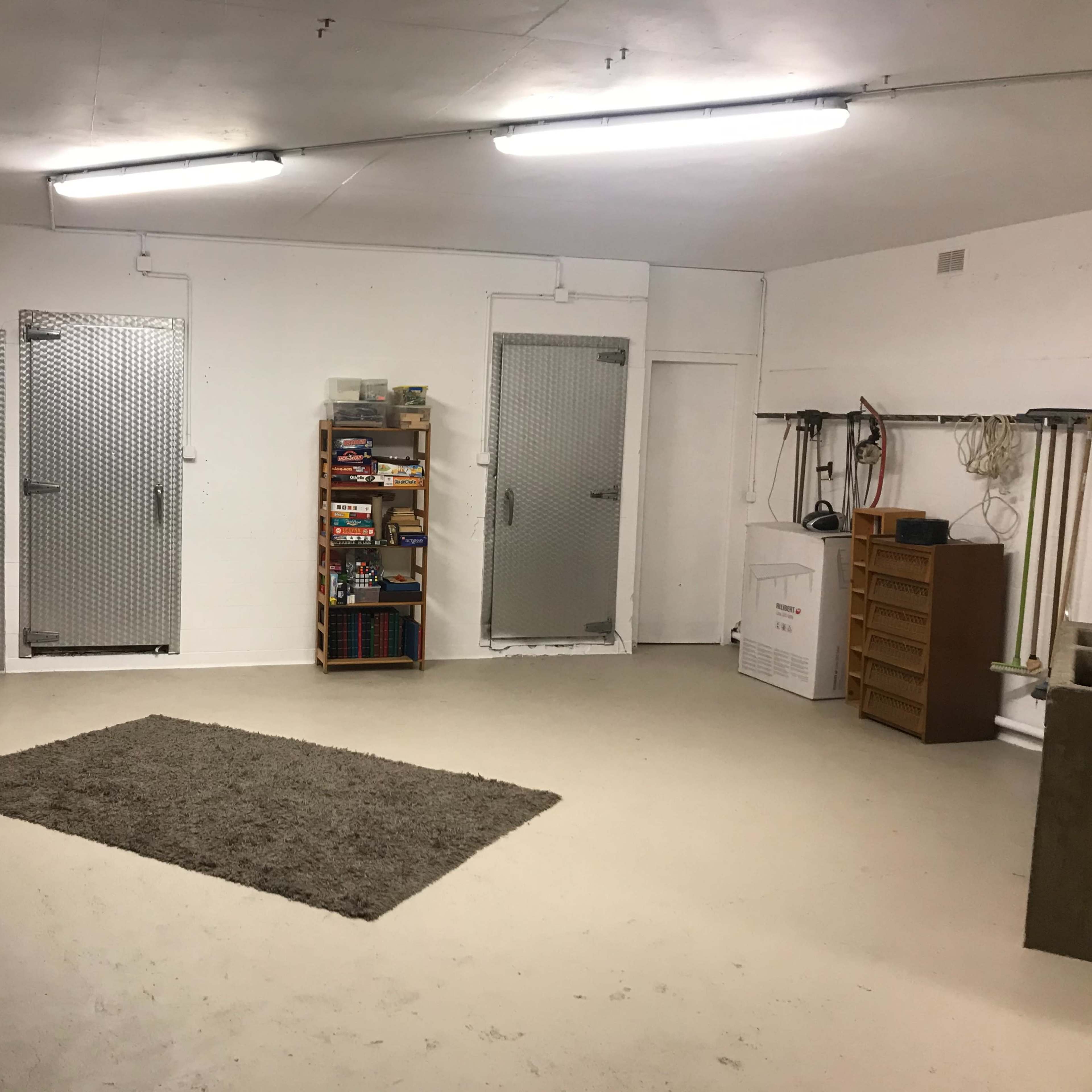 A spacious, well-lit garage with two metal doors, a wooden shelf filled with boxes, and a gray rug on the concrete floor.