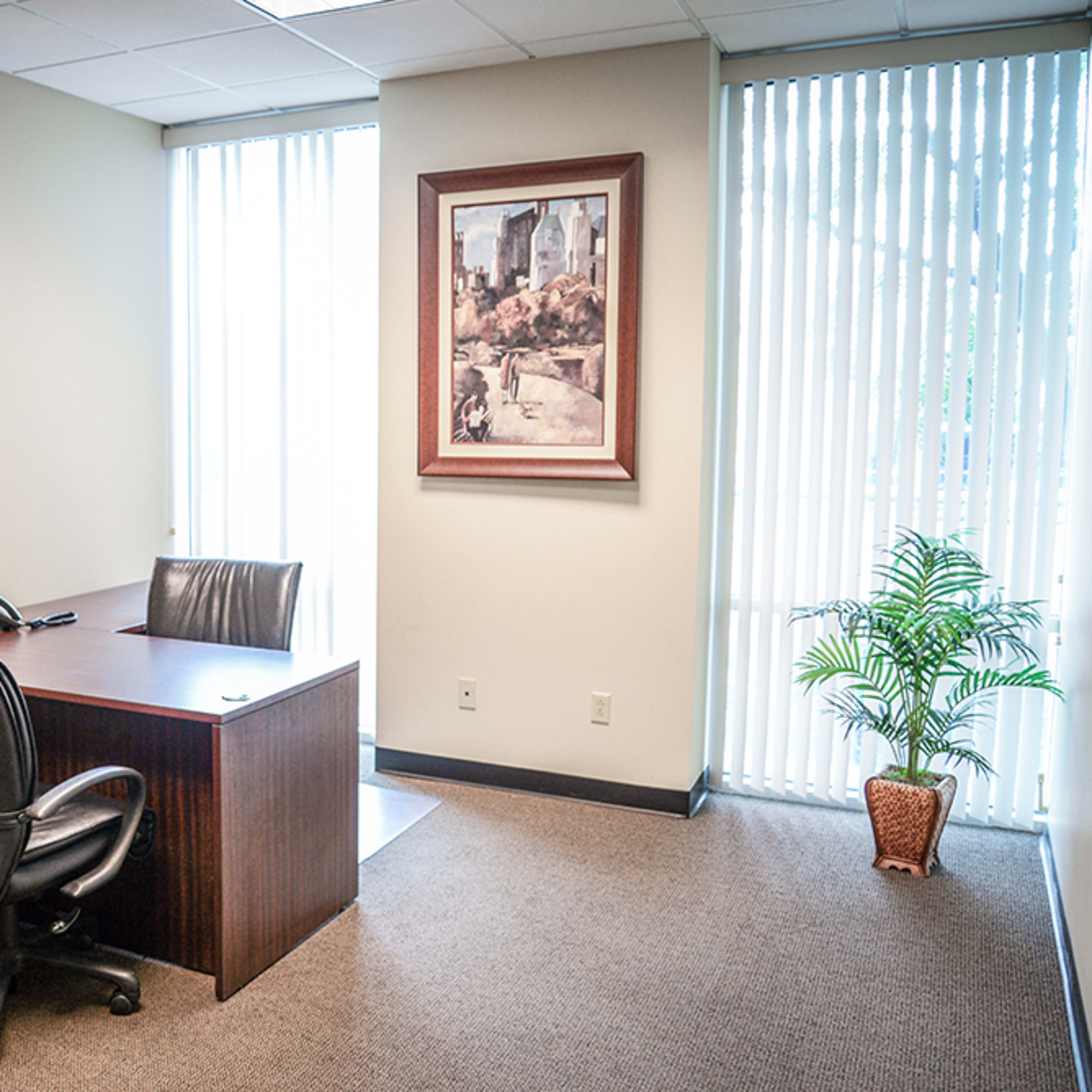 A vacant office space featuring a desk with two black chairs, a telephone, and a framed painting, alongside a small potted plant near a window.