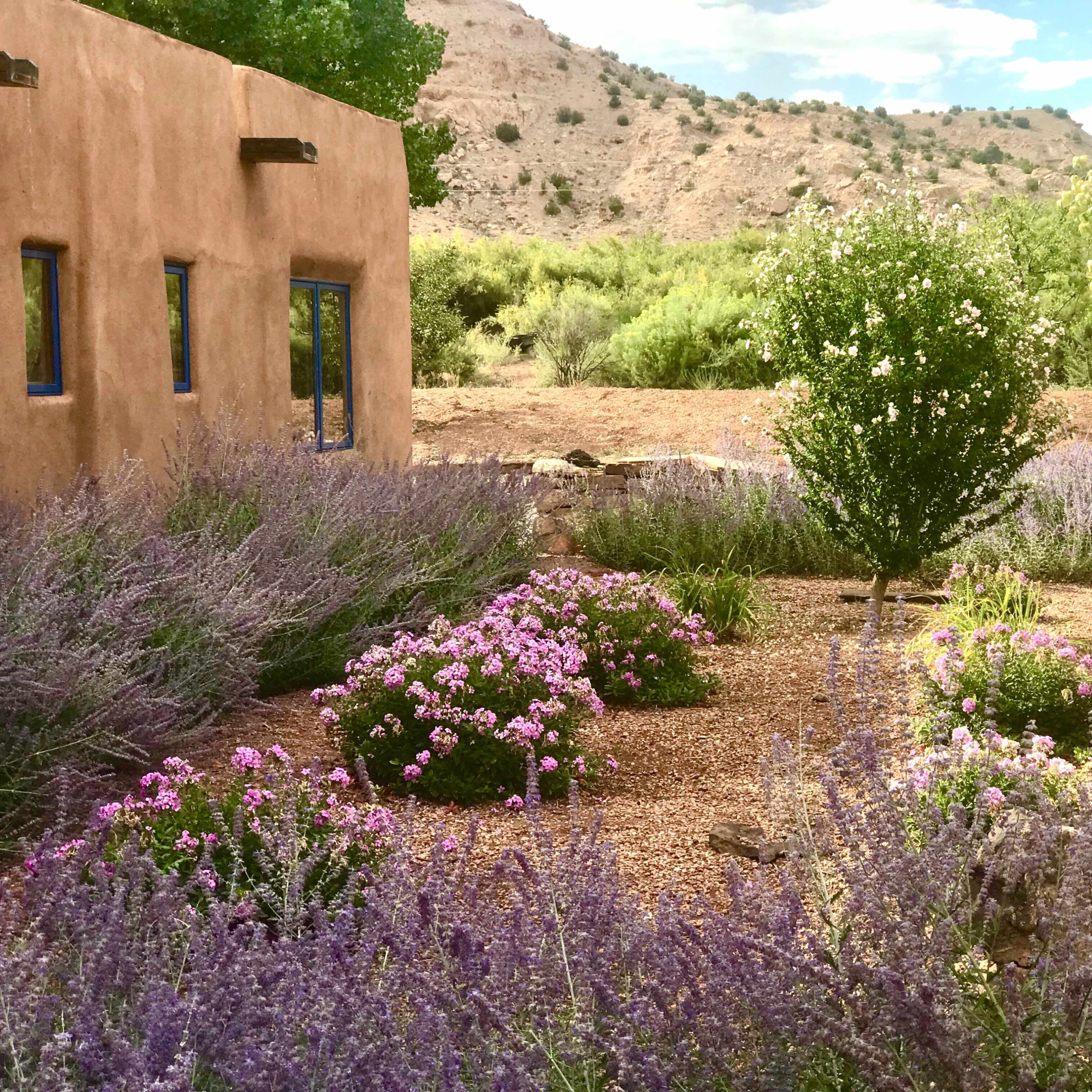 A rustic adobe building is surrounded by lavender and colorful flowers in a landscaped garden with rocky ground and sparse trees.