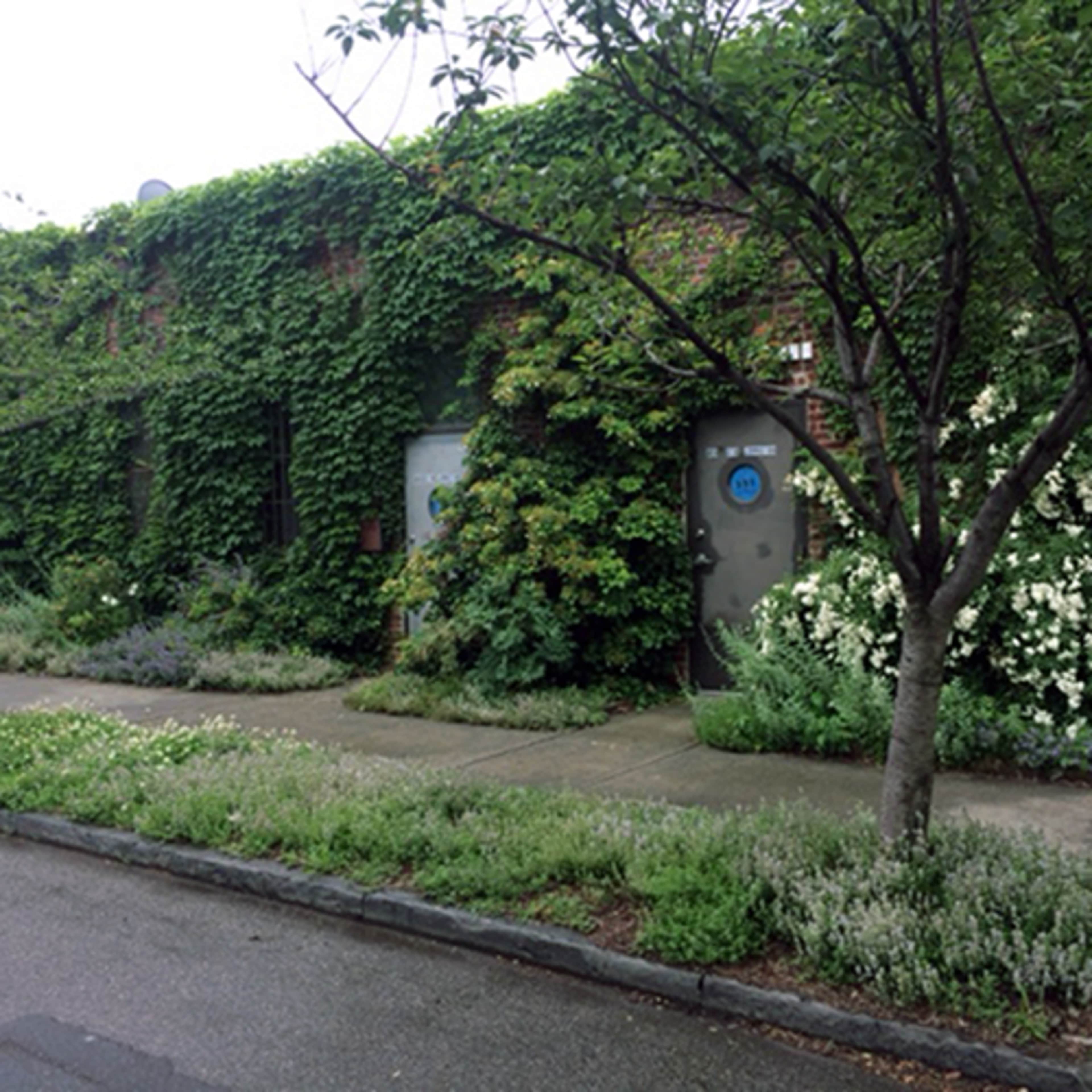 A building covered in ivy features a pathway lined with various plants and flowers on either side.