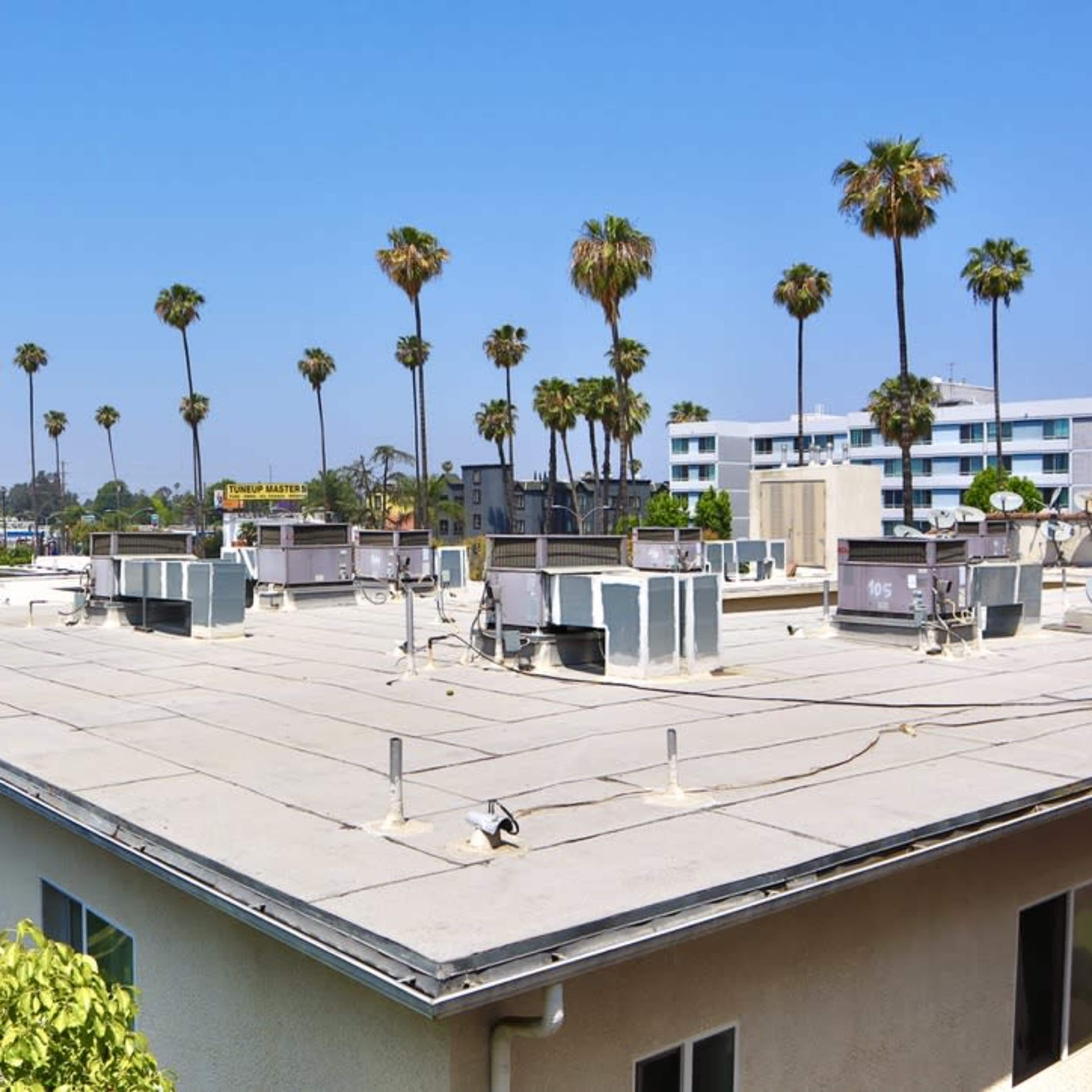 The rooftop of a building with multiple air conditioning units, framed by palm trees against a clear blue sky.