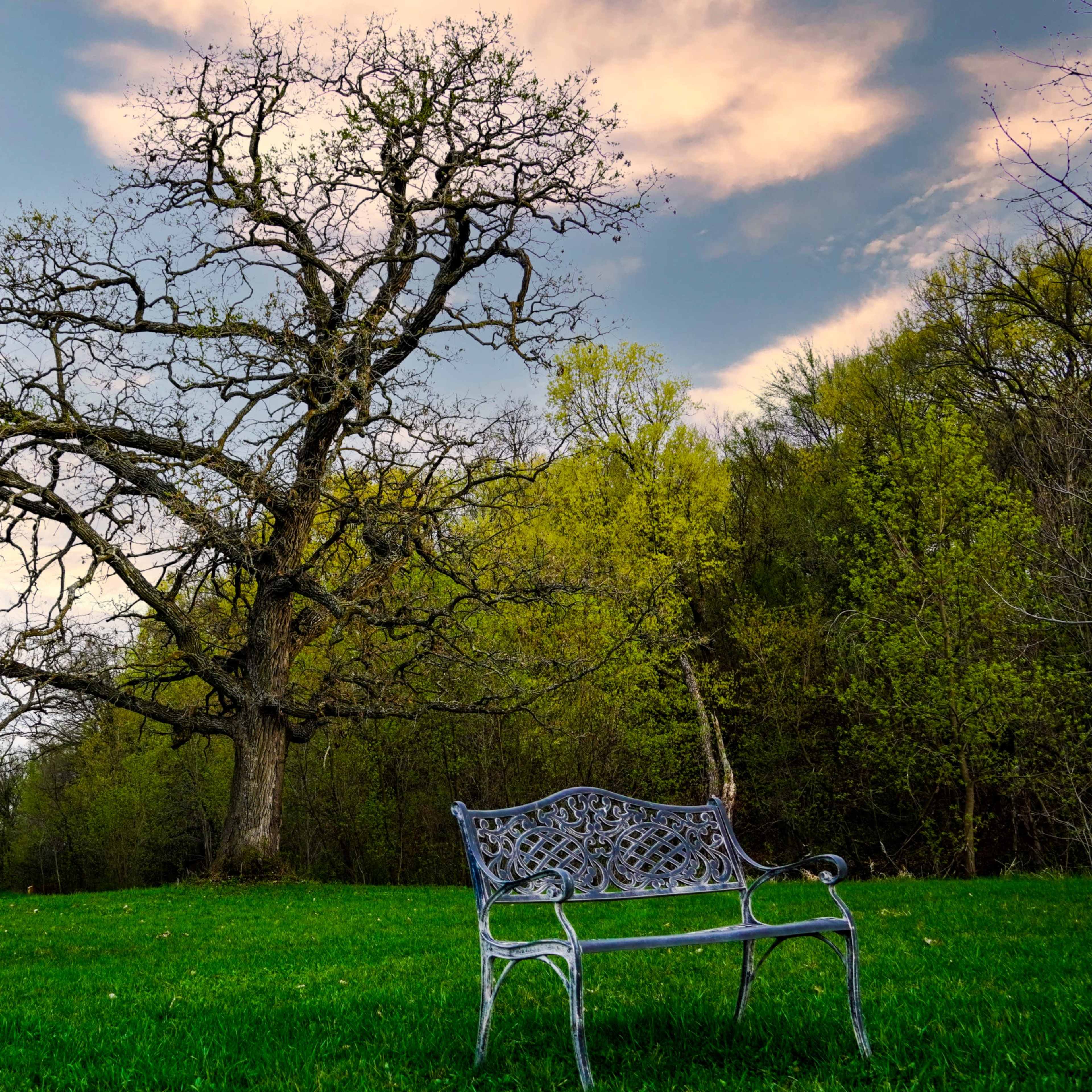 MN’s 1st Private Mental Health Park-Forested with Lakeshore on a private lake-40 mins west of the Twin Cities Image in , Watertown, MN