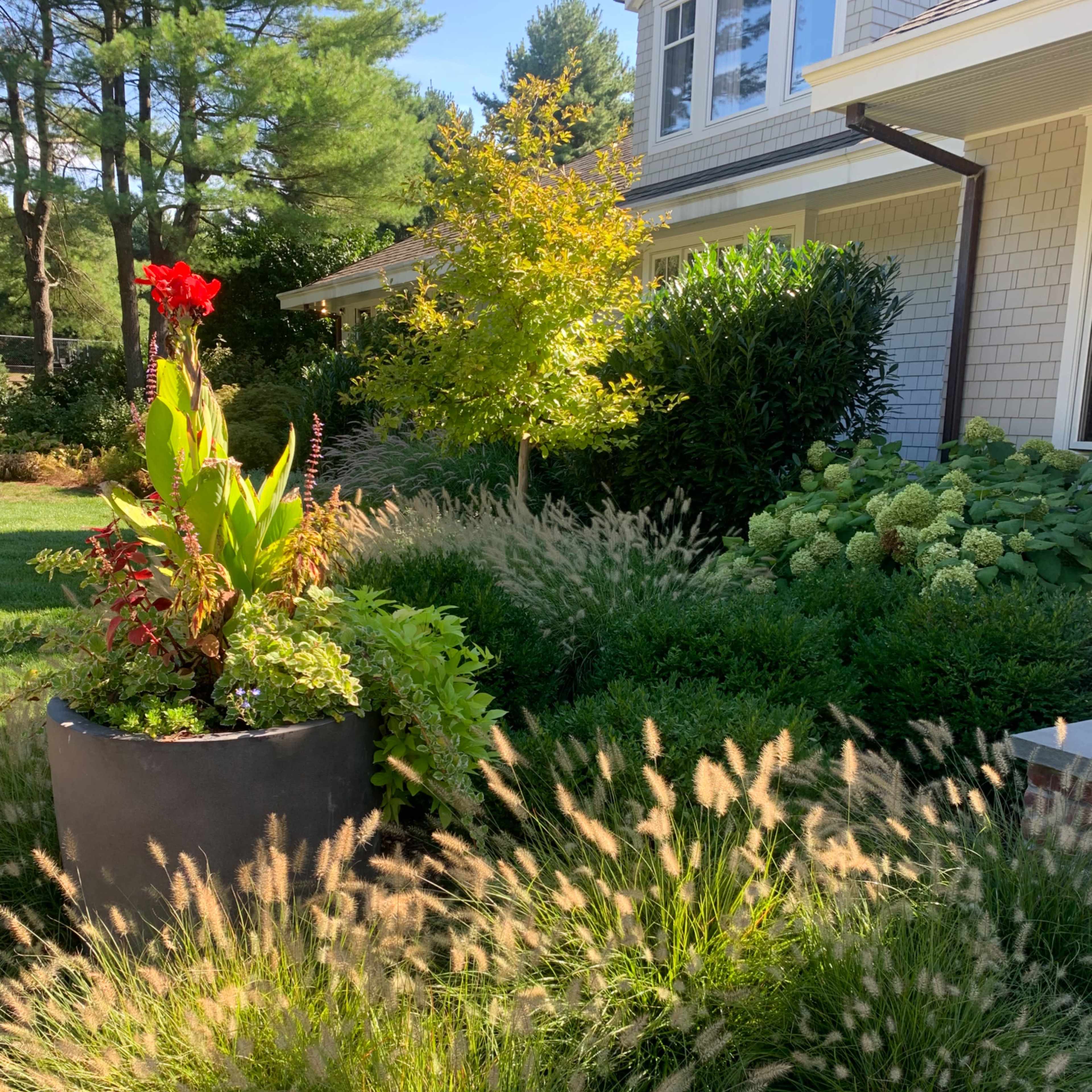 A large black planter filled with vibrant plants sits in a garden featuring various greenery and textured grasses, alongside a cream-colored decorative element.