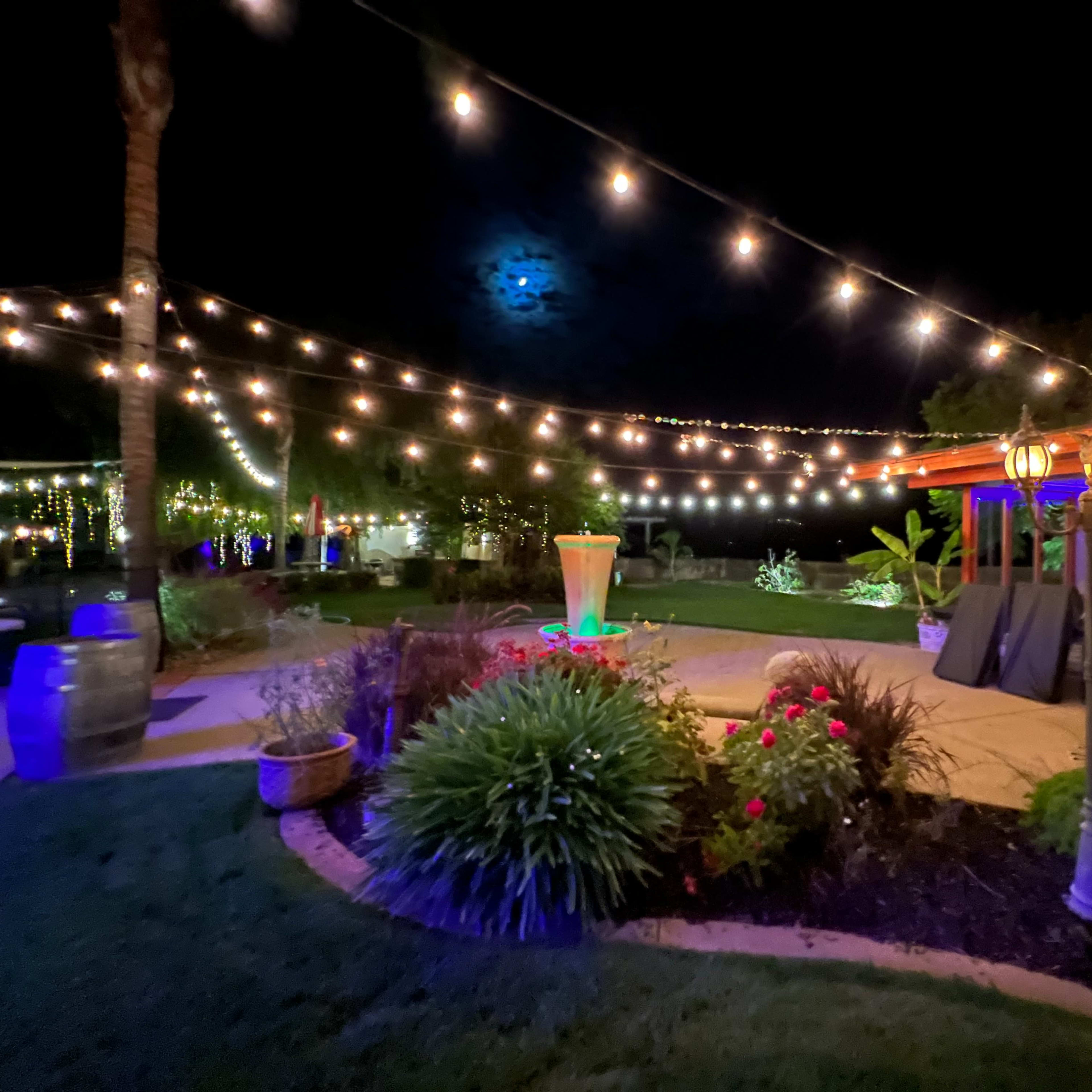 A backyard garden is illuminated by string lights and a glowing fountain under a full moon.