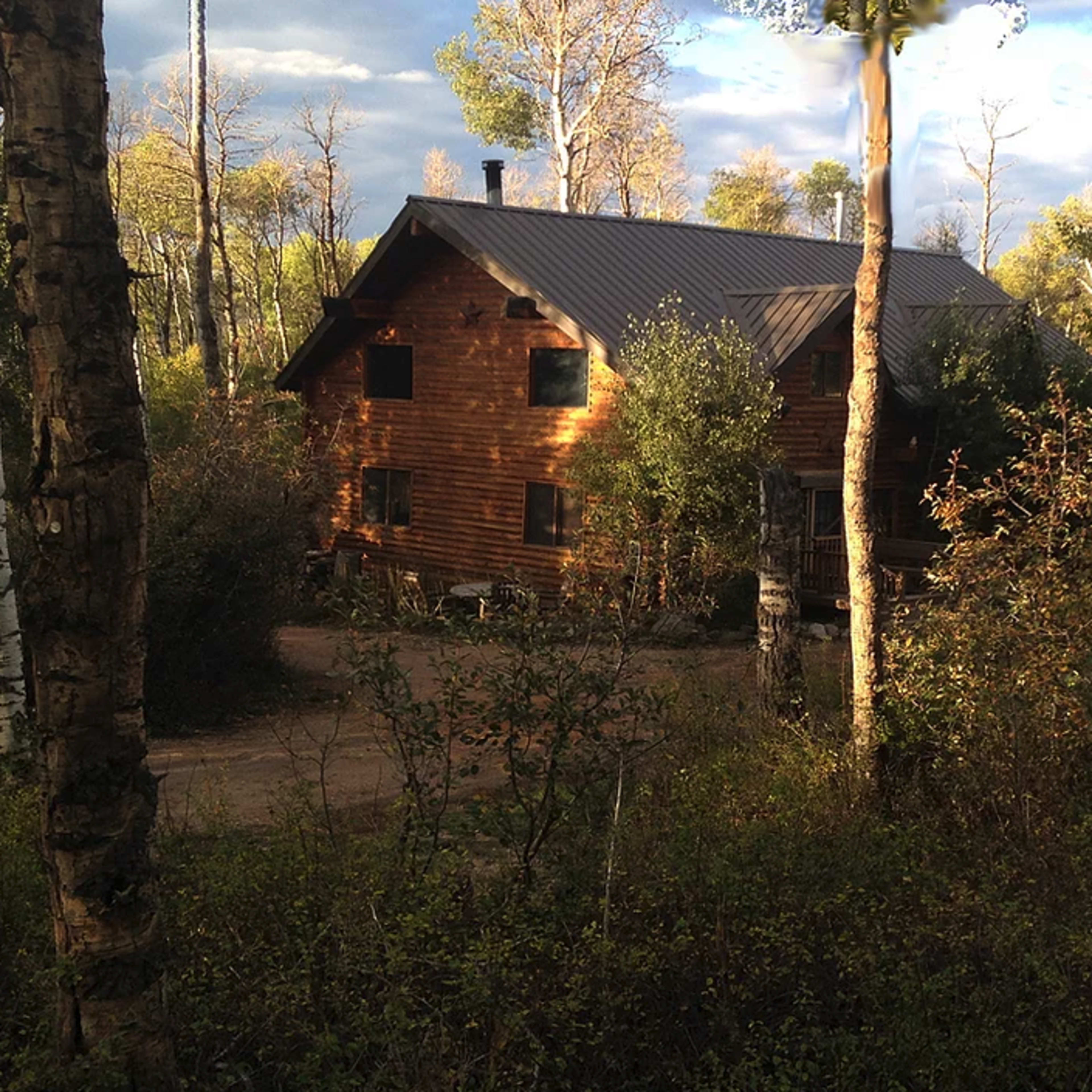 A log cabin is nestled among trees on a dirt path.