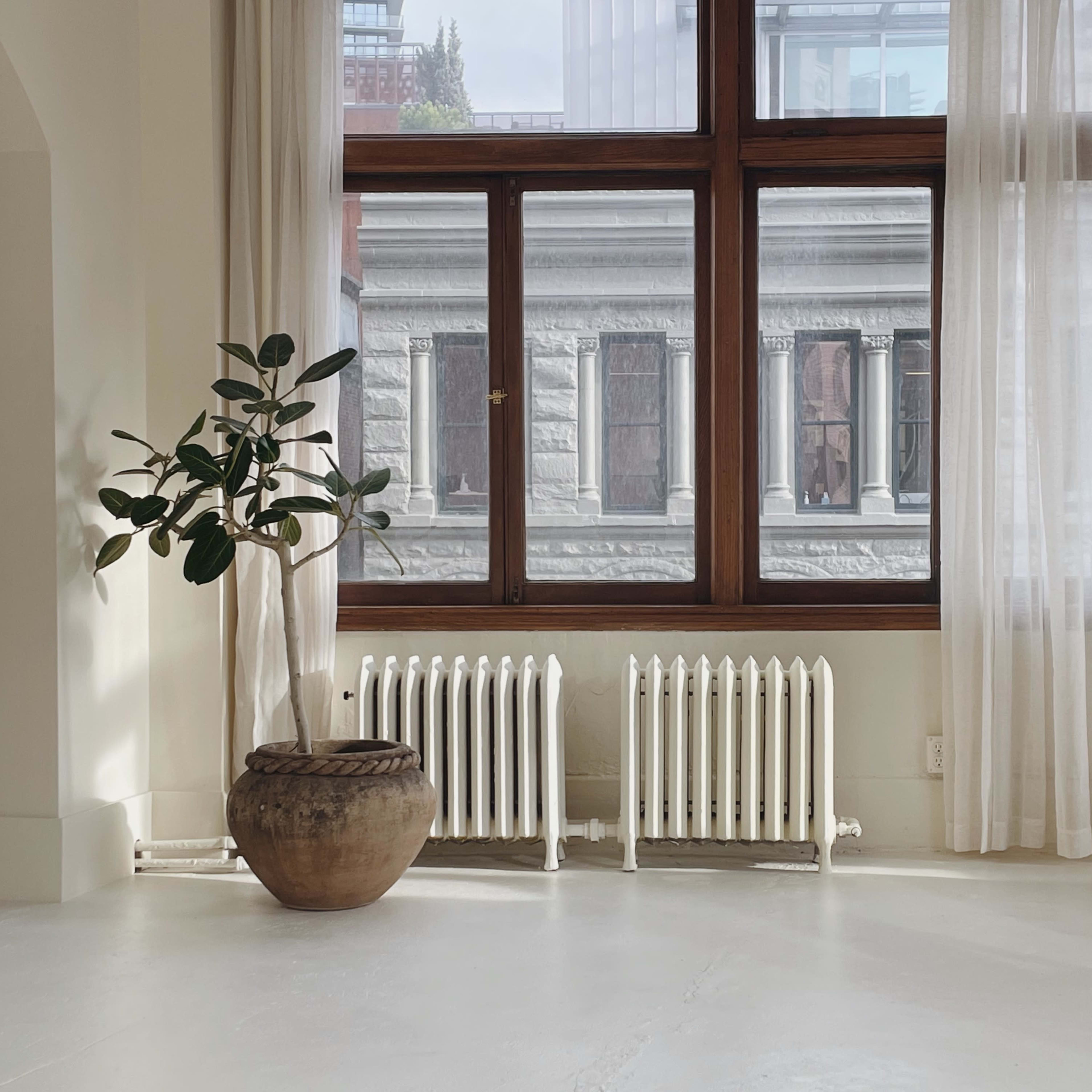 A potted plant stands beside a pair of white radiators under a large window with sheer curtains, revealing a view of an adjacent building.