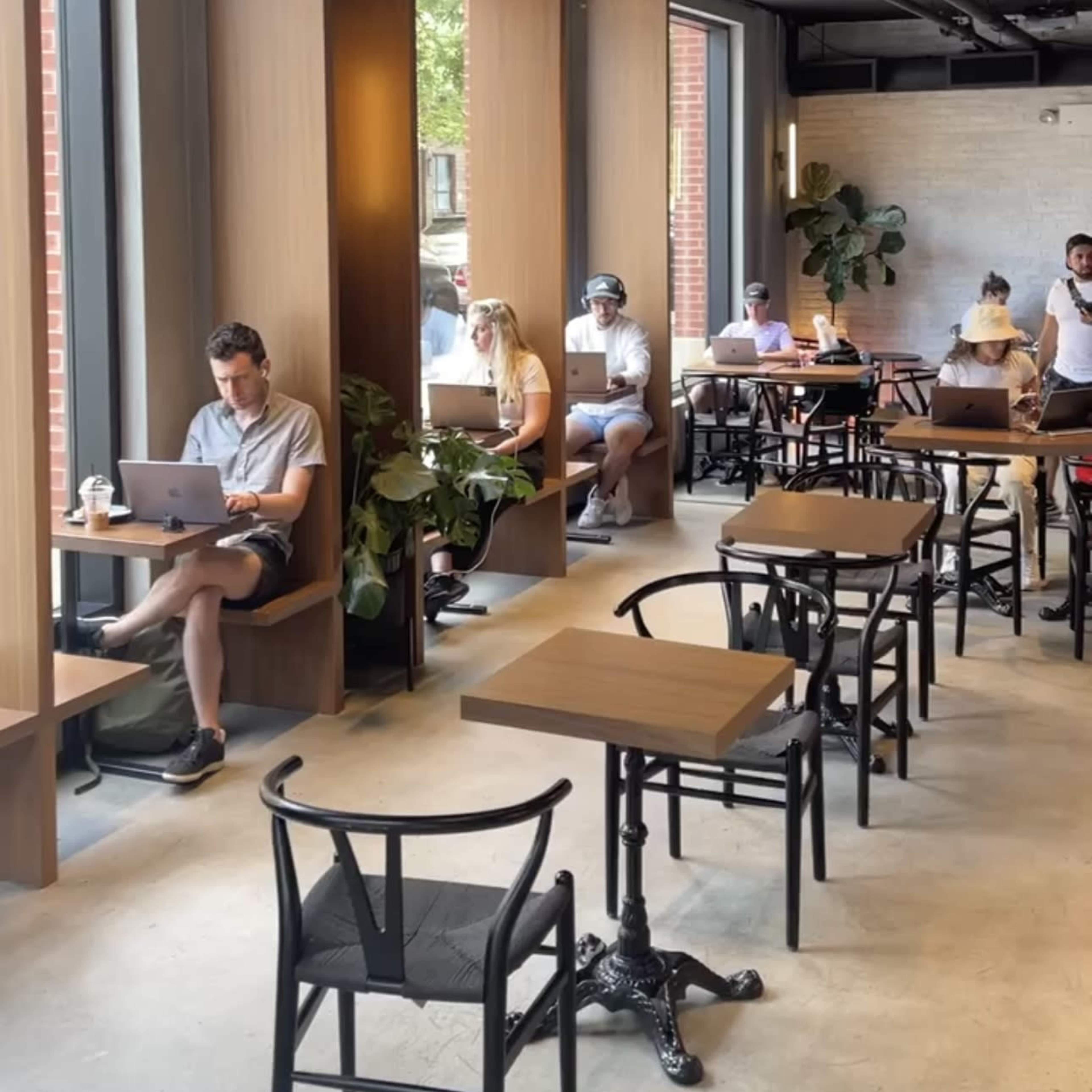 A row of people working on laptops sits in a coffee shop with large windows and wooden seating.