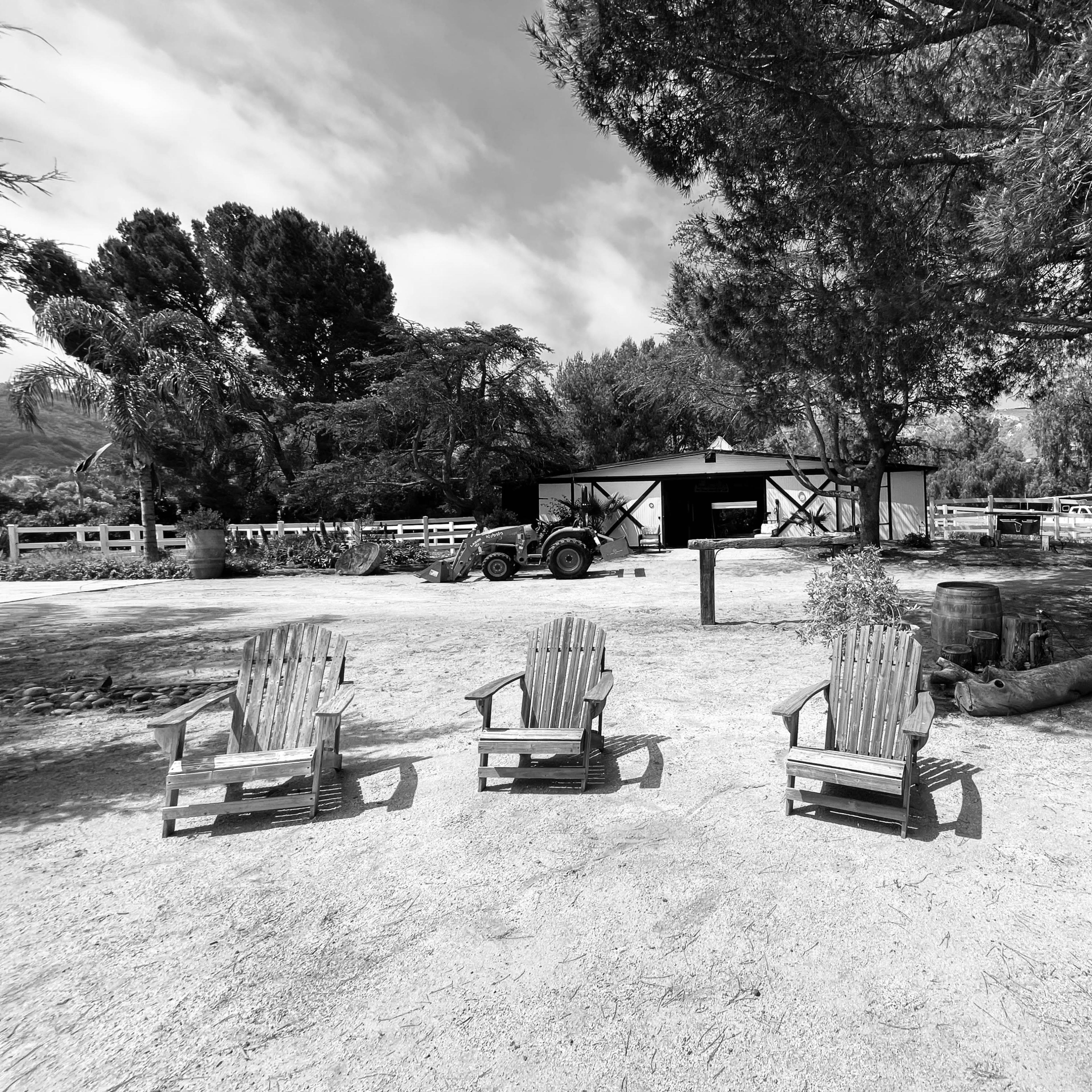 Several wooden chairs arranged in a row facing a barn and outdoor area surrounded by trees.