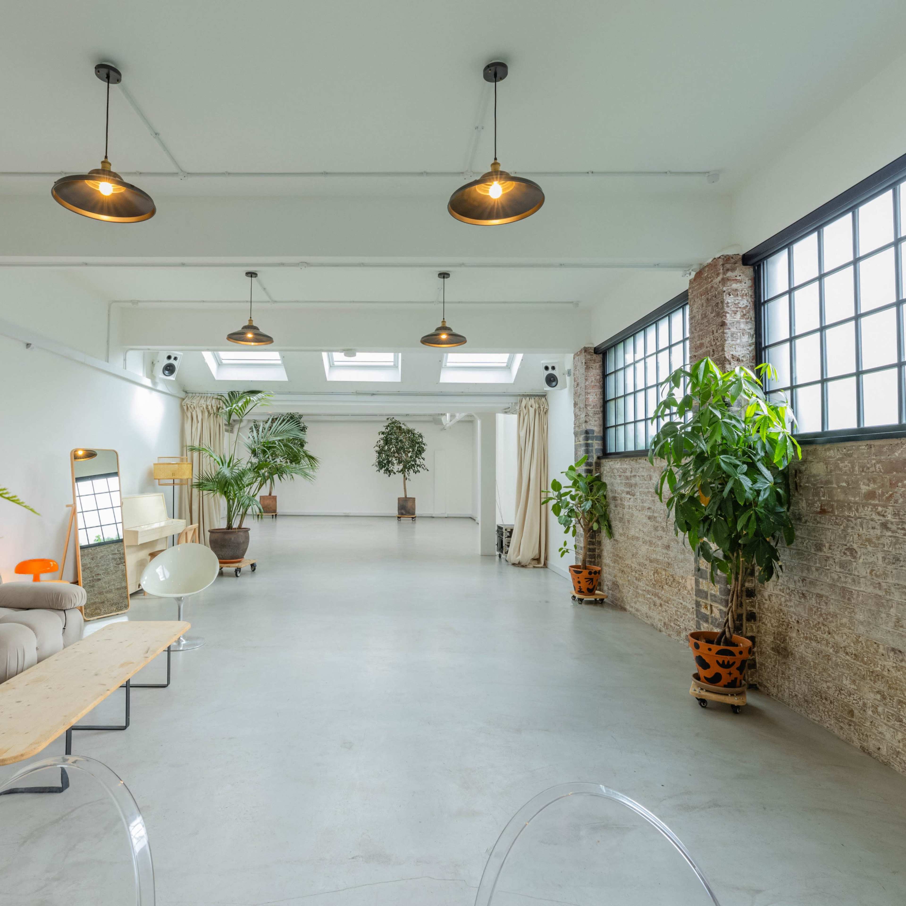 A spacious room features a light-colored sofa, wooden table, and several potted plants along the walls with large windows illuminating the space.