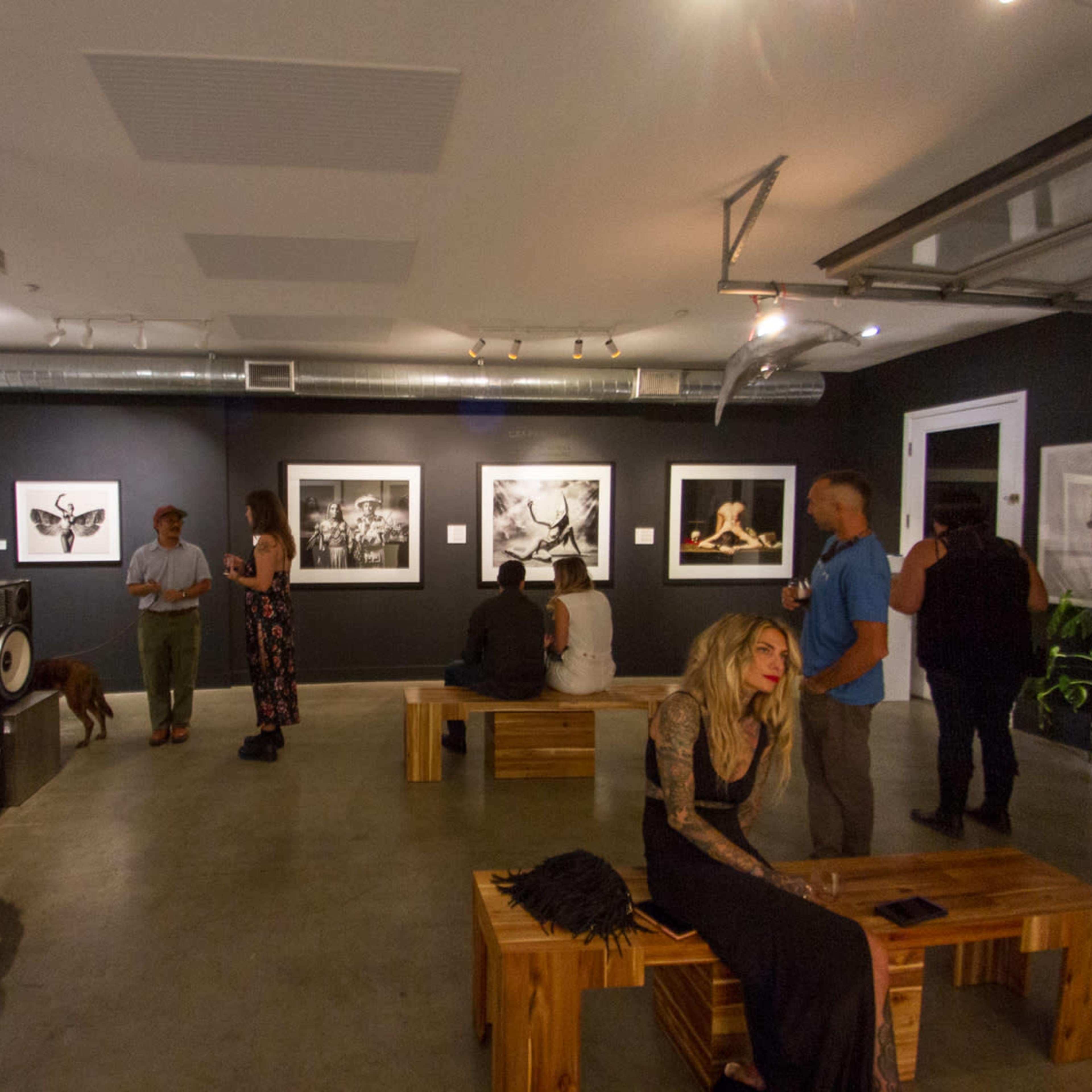 Edgy Carlsbad Art Gallery for Events & Creative Shoots Image in Carlsbad, Carlsbad, CA