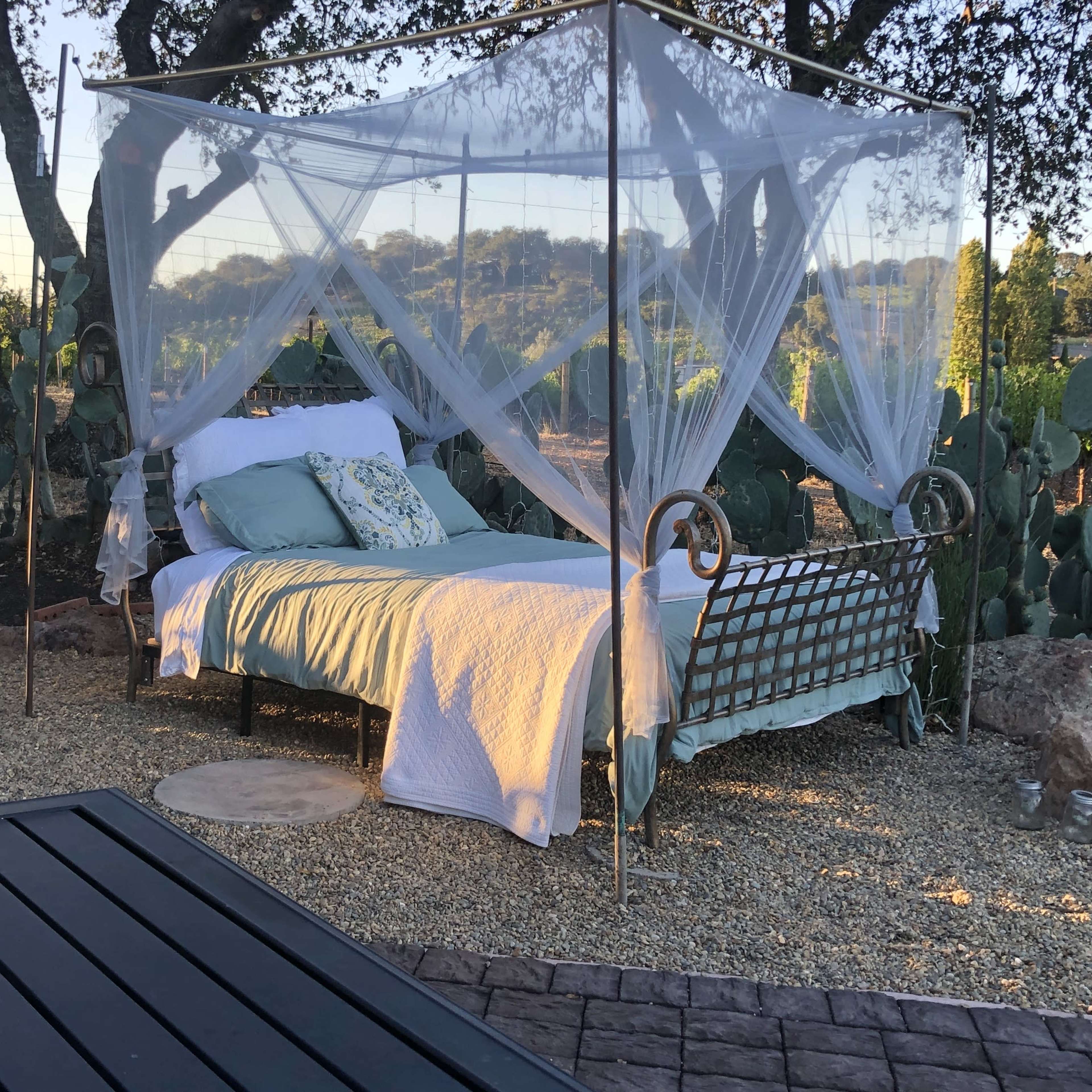 A metal bed with a canopy is set outdoors on a gravel area surrounded by trees and cacti.