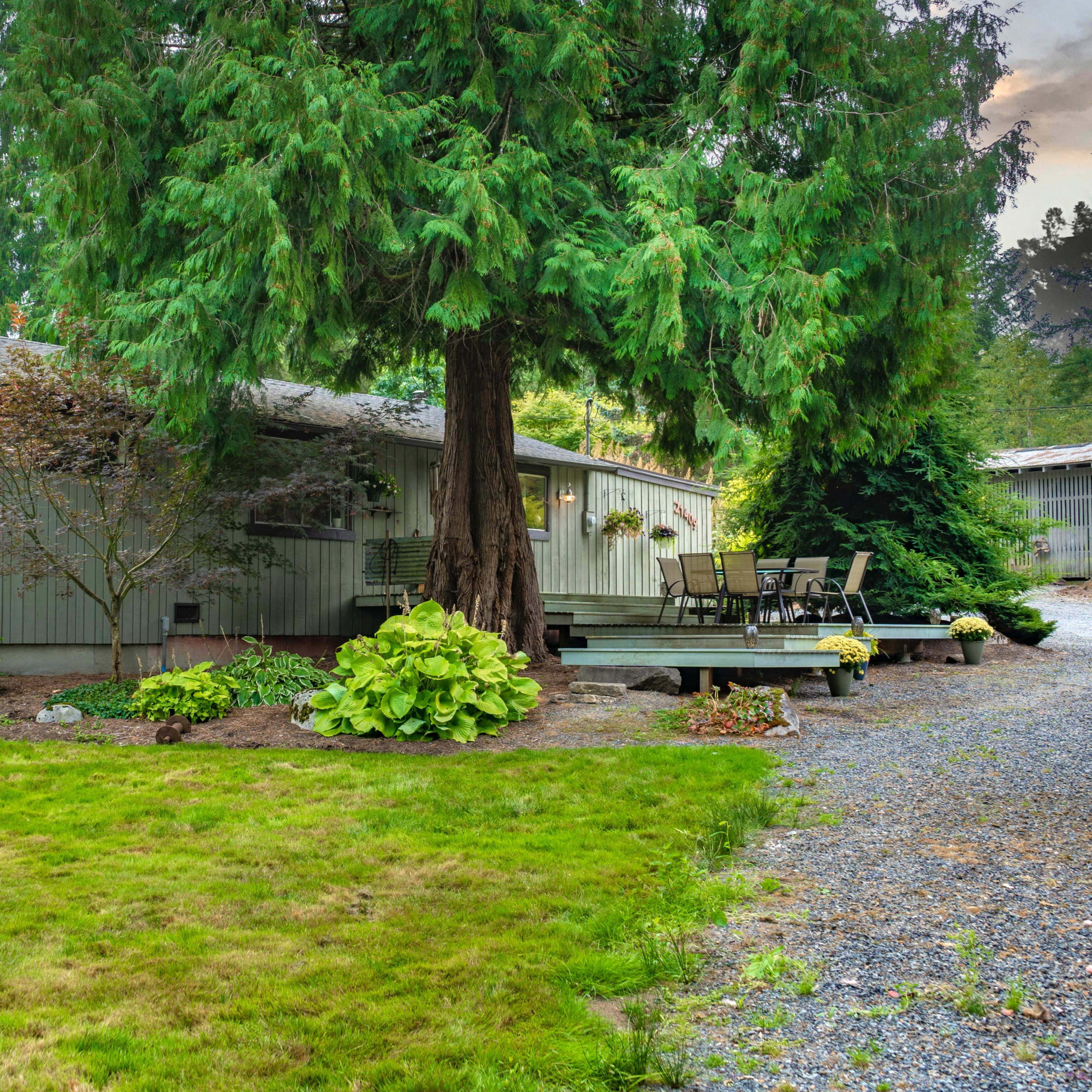 A gray single-story house with a deck and surrounding greenery is situated on a landscaped property.