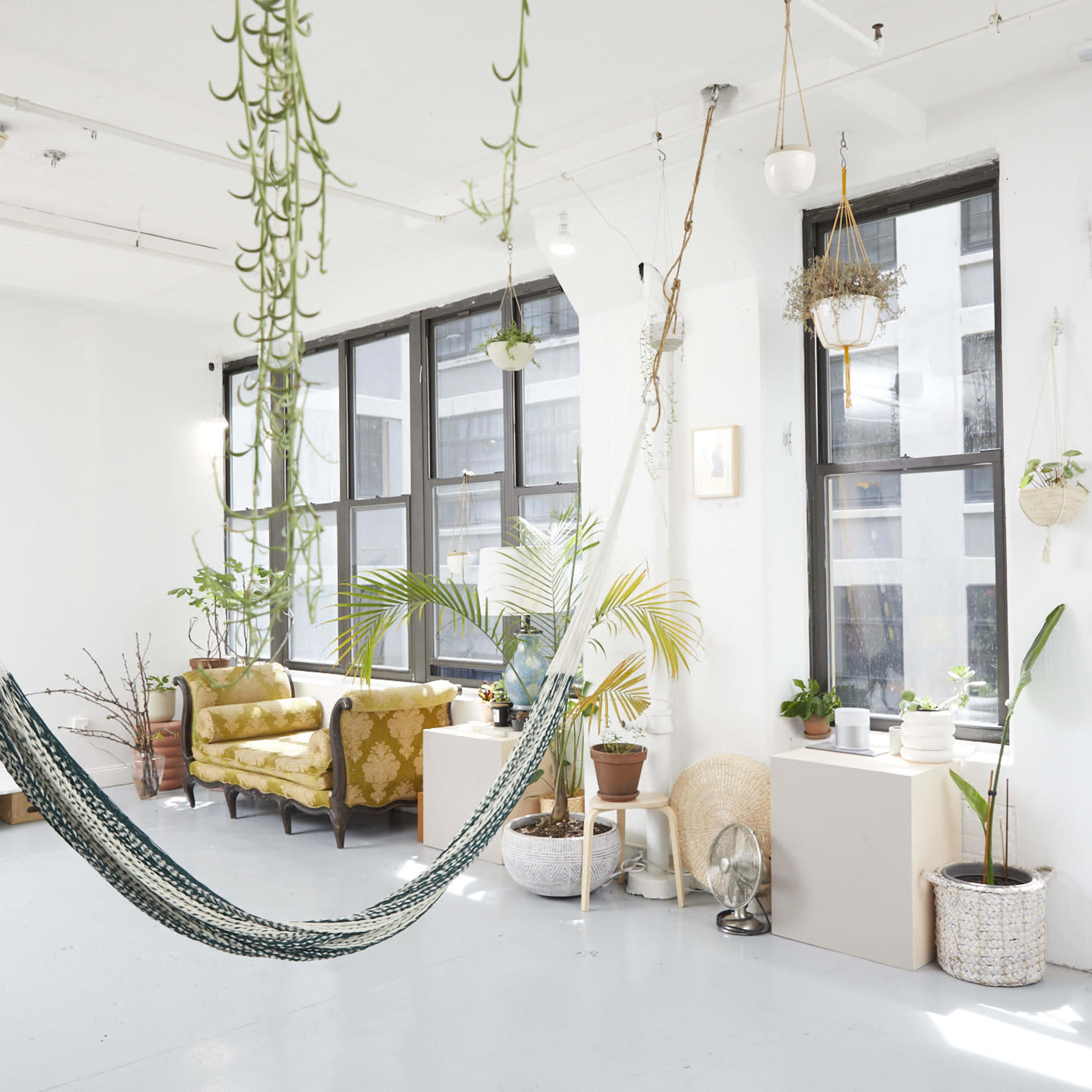 A bright and airy room with large windows, a hammock hanging in the foreground, and various plants arranged throughout the space.