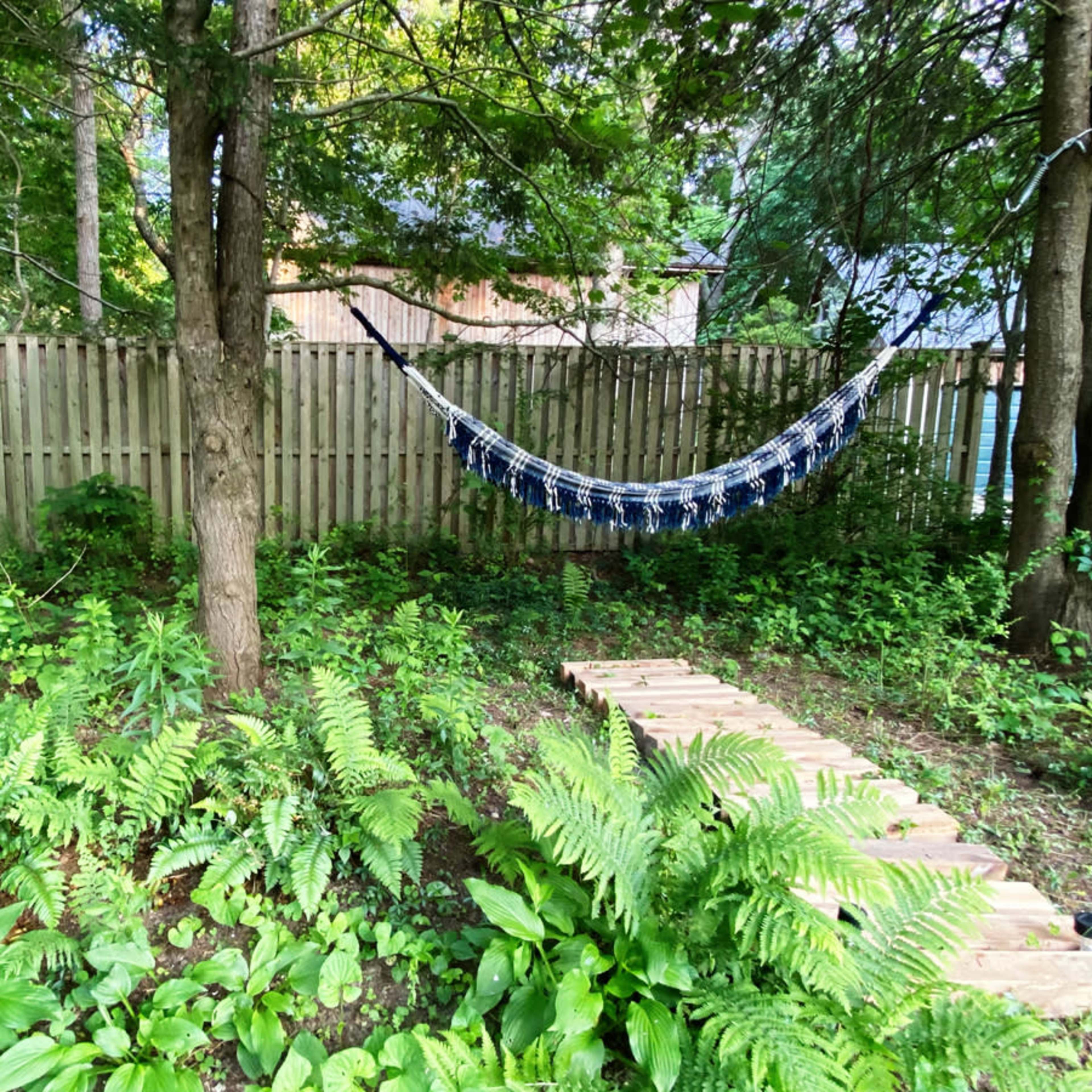 A hammock is strung between two trees in a backyard surrounded by ferns and a wooden pathway.