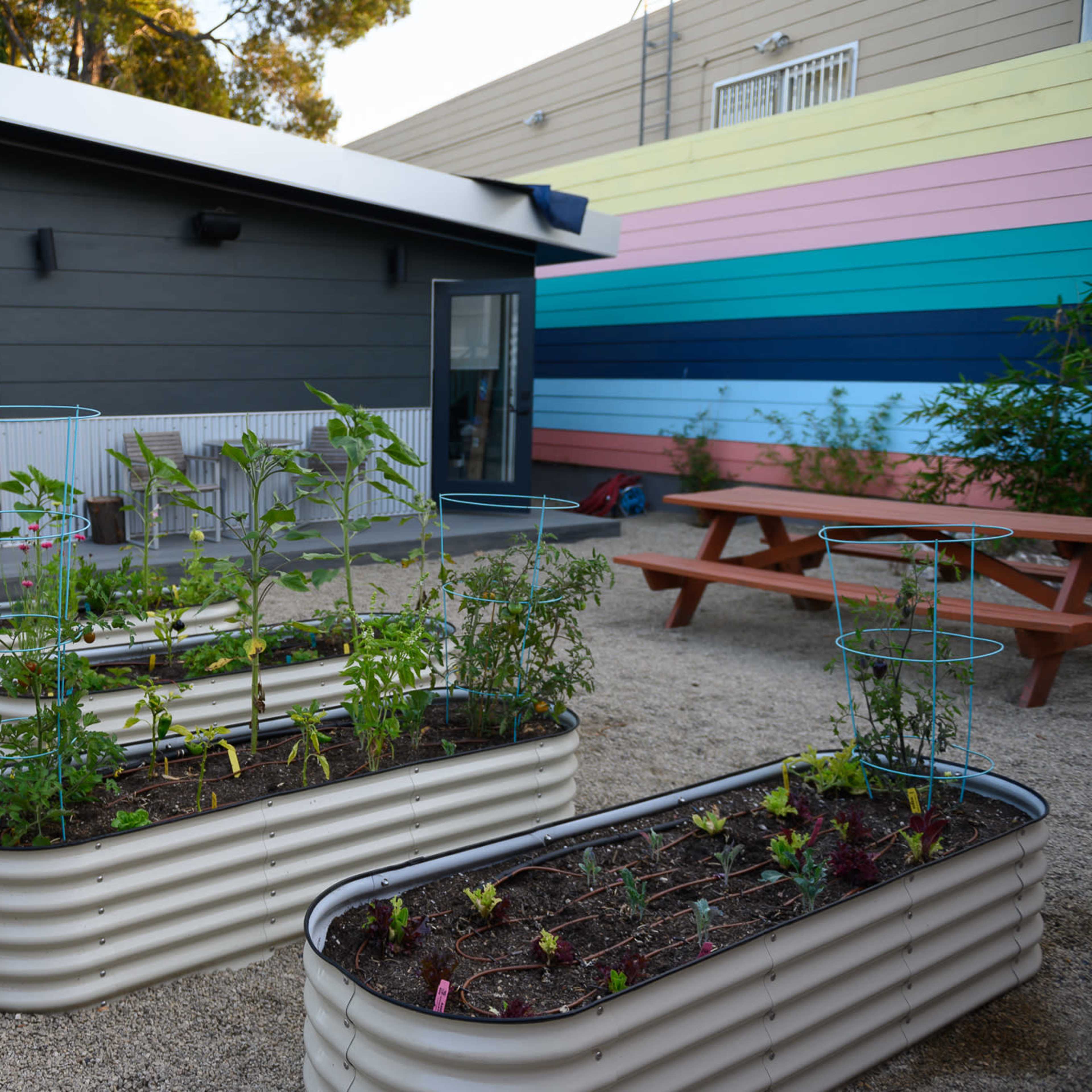 A modern garden with raised metal planter beds containing various plants, situated beside a contemporary building with colorful striped walls.
