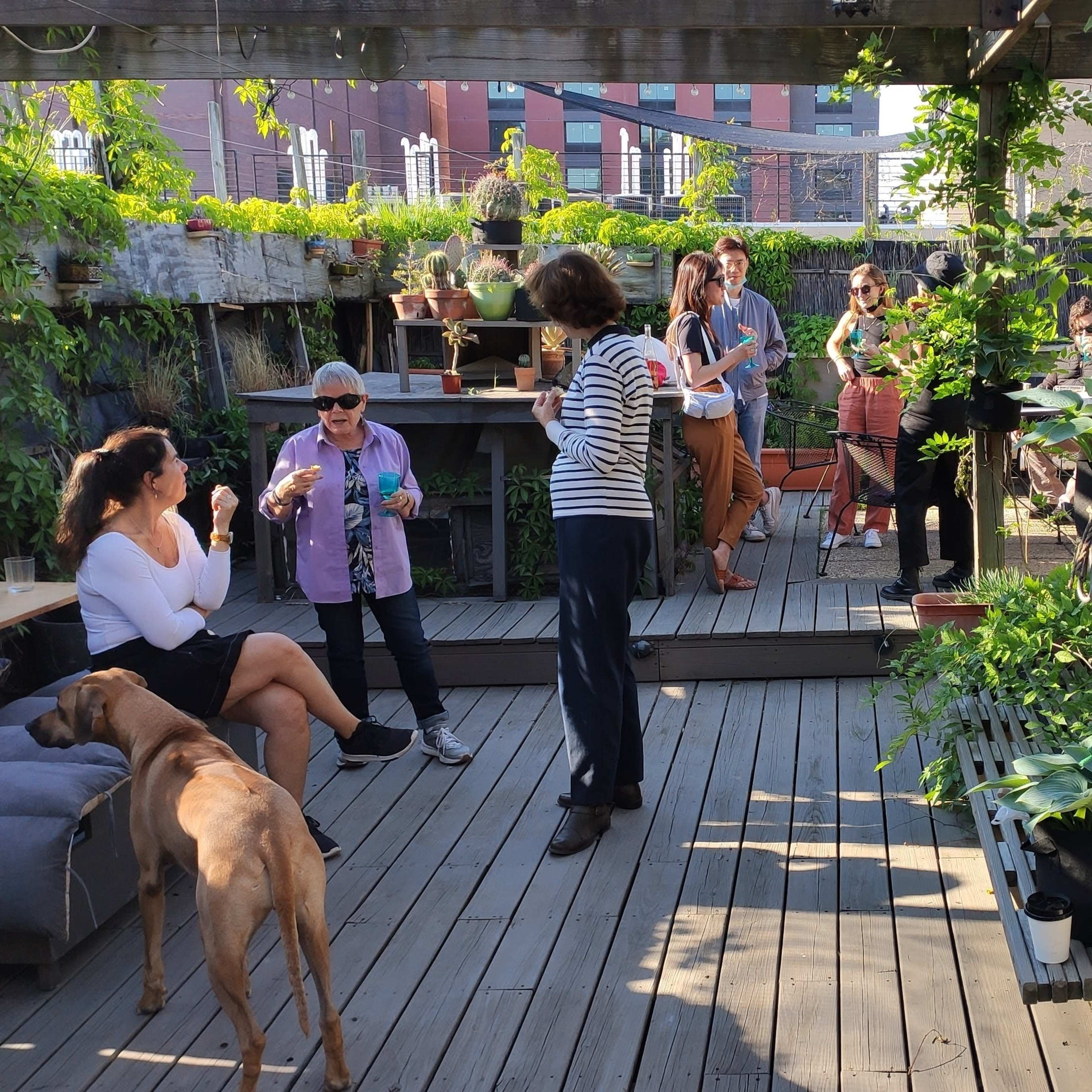 A group of people gathers on a wooden deck surrounded by plants and seating, with some engaging in conversation while others relax.
