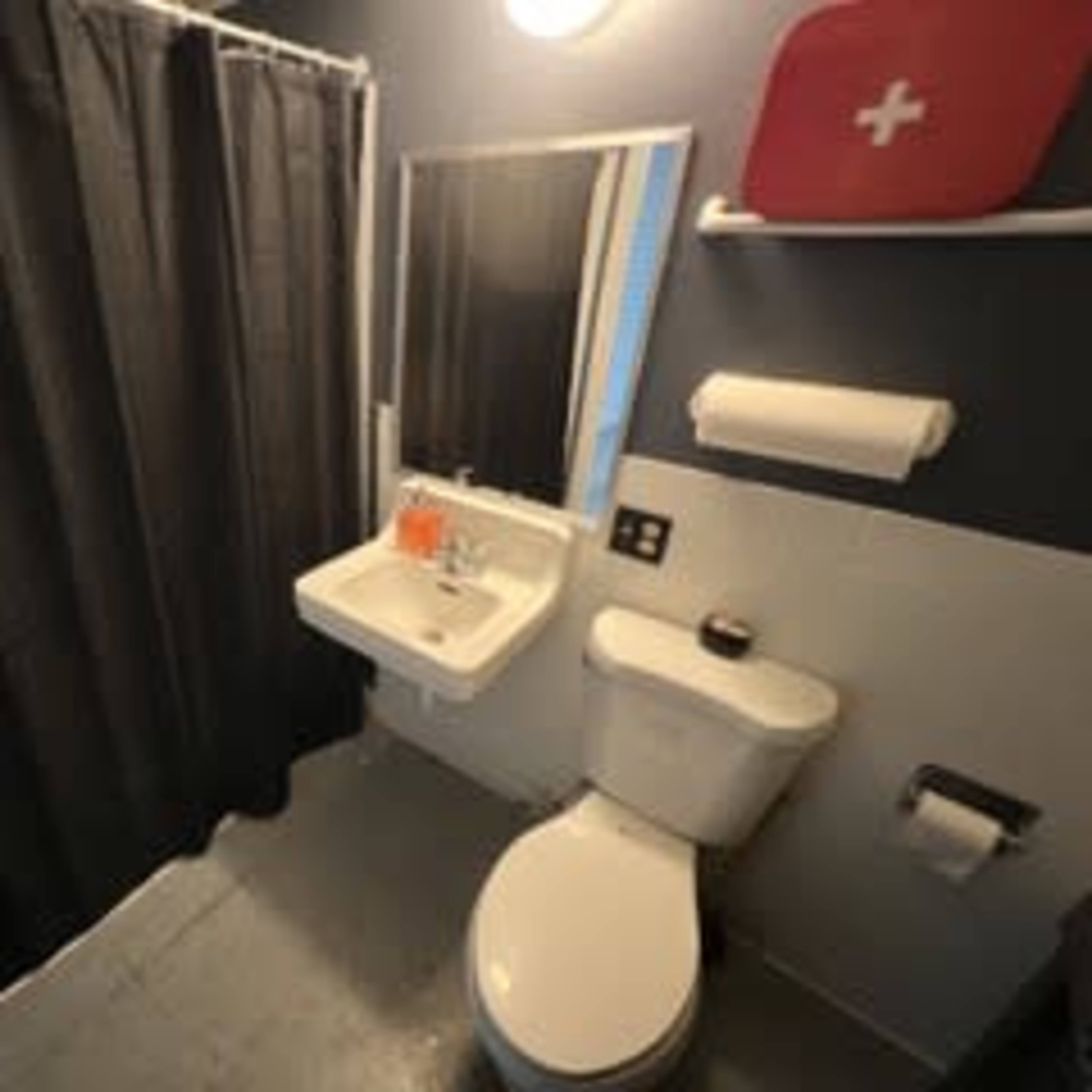 A bathroom featuring a toilet, a sink, a mirror, and a shower curtain.