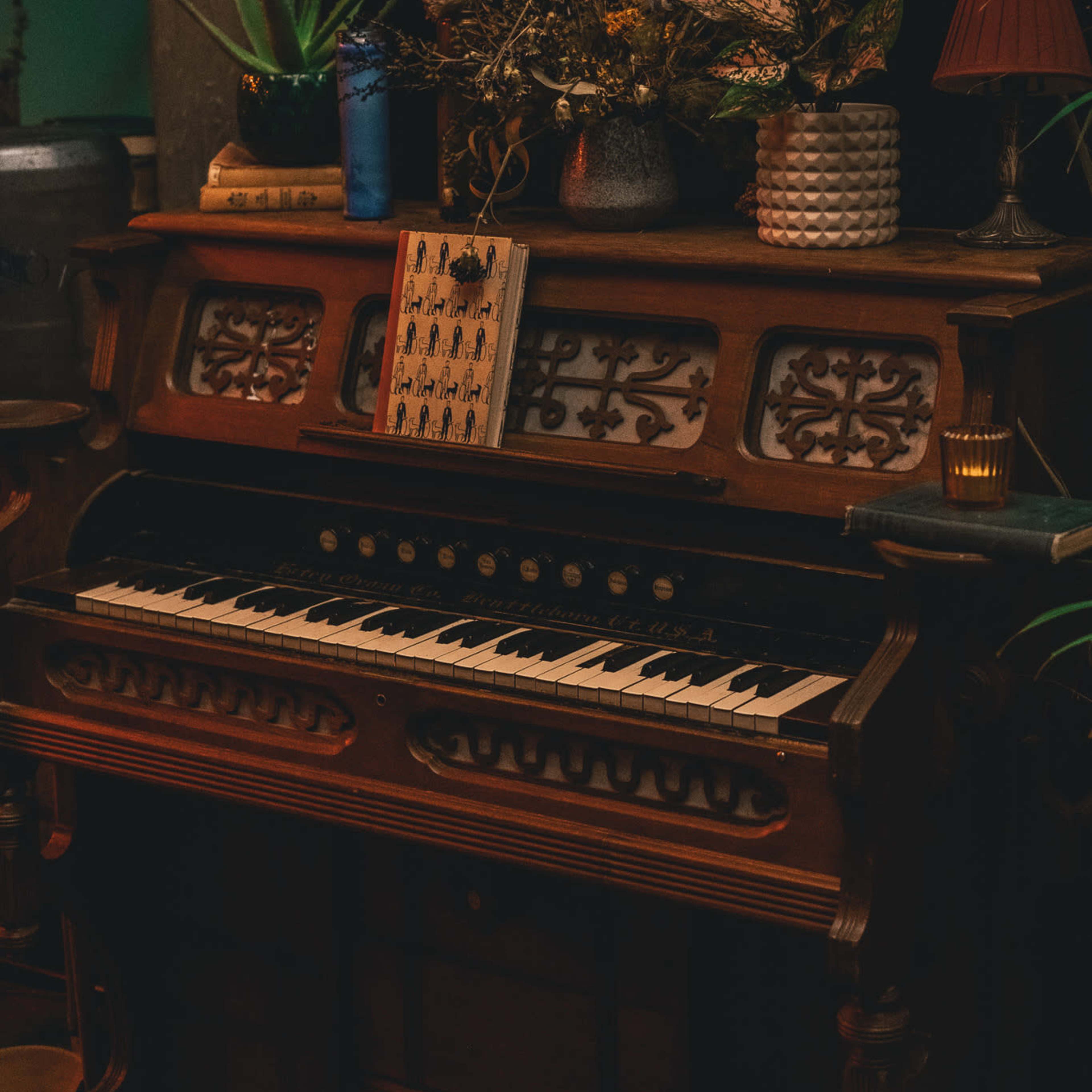 An antique organ is placed against a backdrop of potted plants and decorative items.