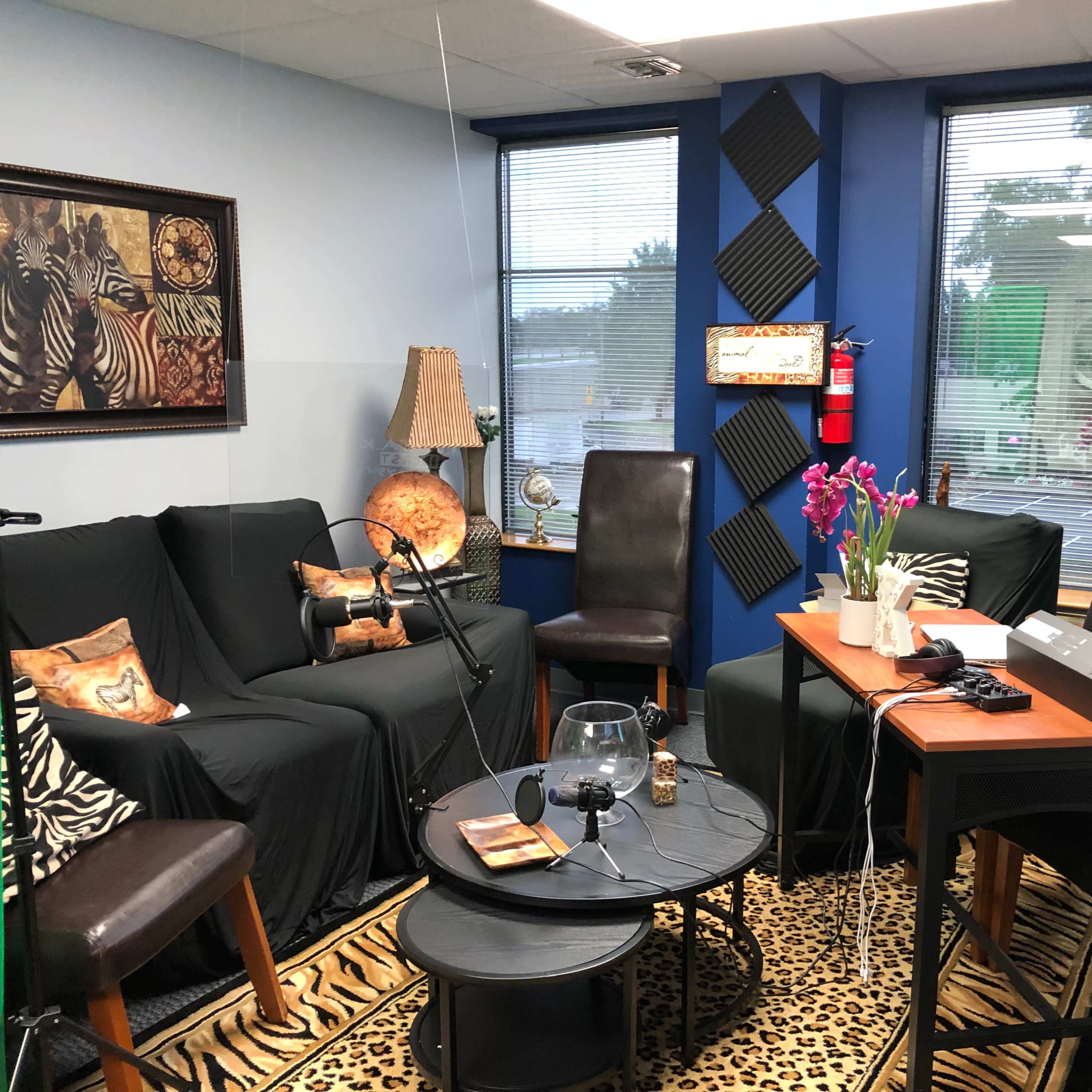 A studio set up with a seating area, a coffee table, and equipment for recording or filming, featuring animal print décor and large windows.