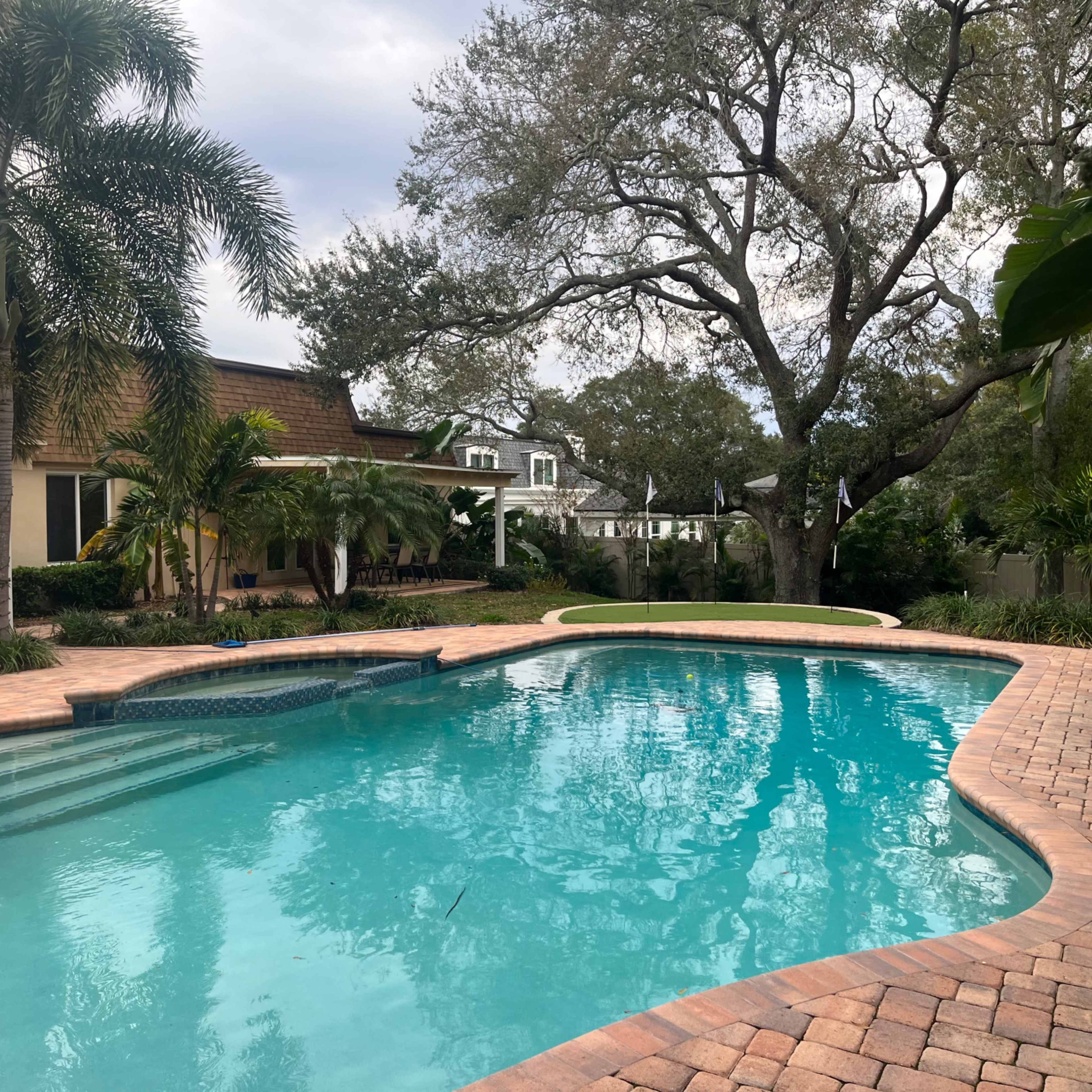A clear swimming pool is surrounded by landscaped greenery and a paved deck in a residential backyard.