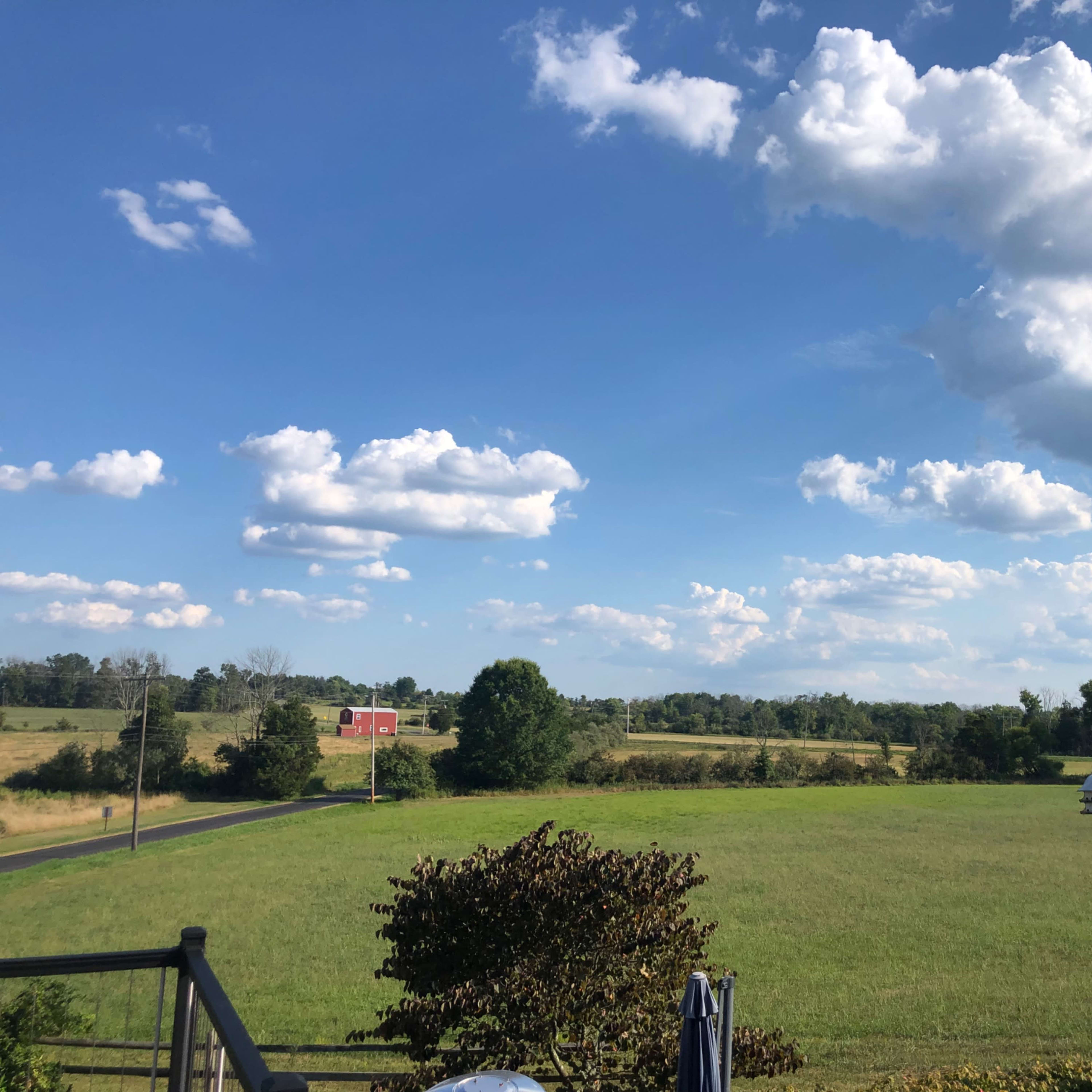 A wide green field under a blue sky filled with clouds, framed by trees and a distant roadside barn.