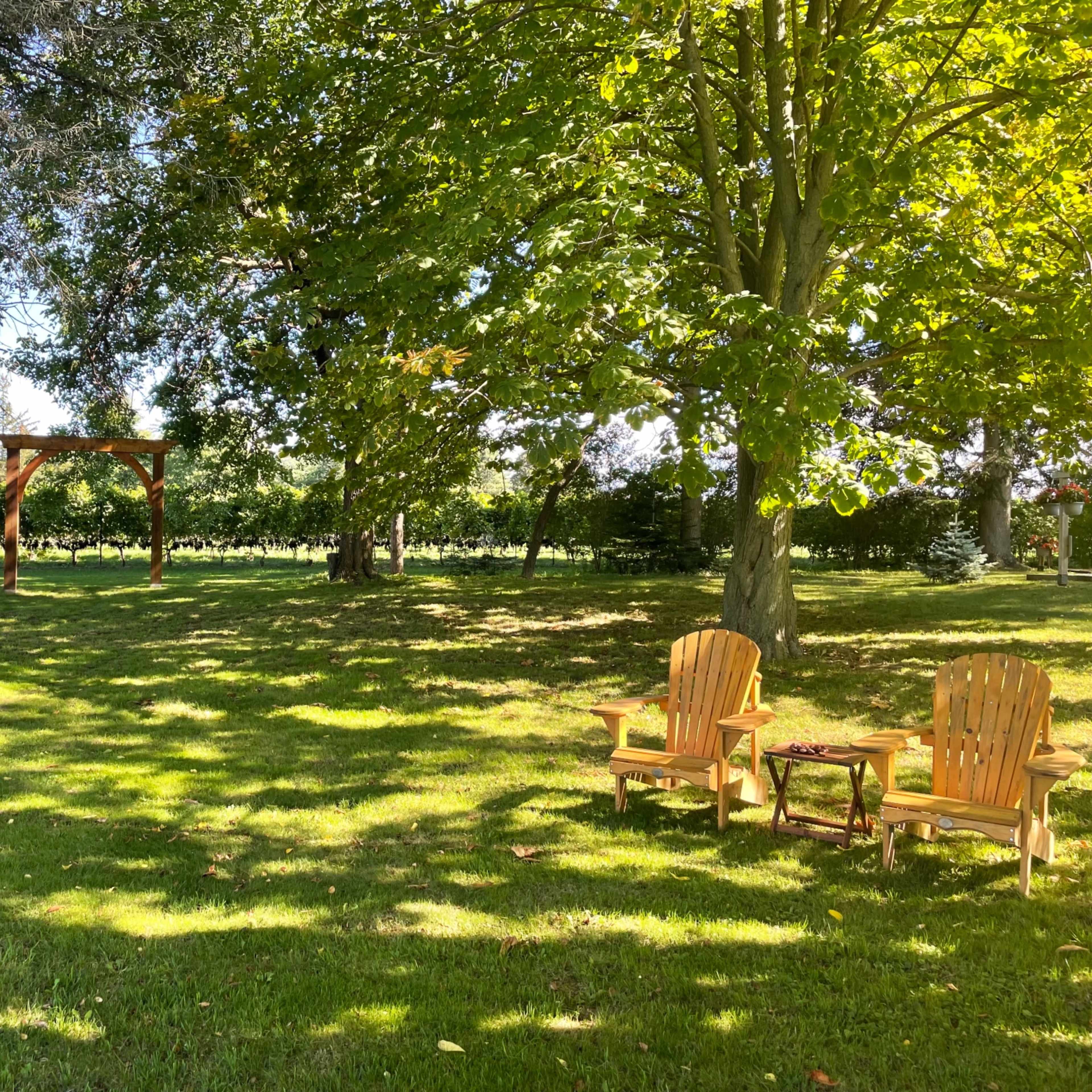 A shaded park area with two wooden chairs and a small table near a trellis, surrounded by grass and trees.