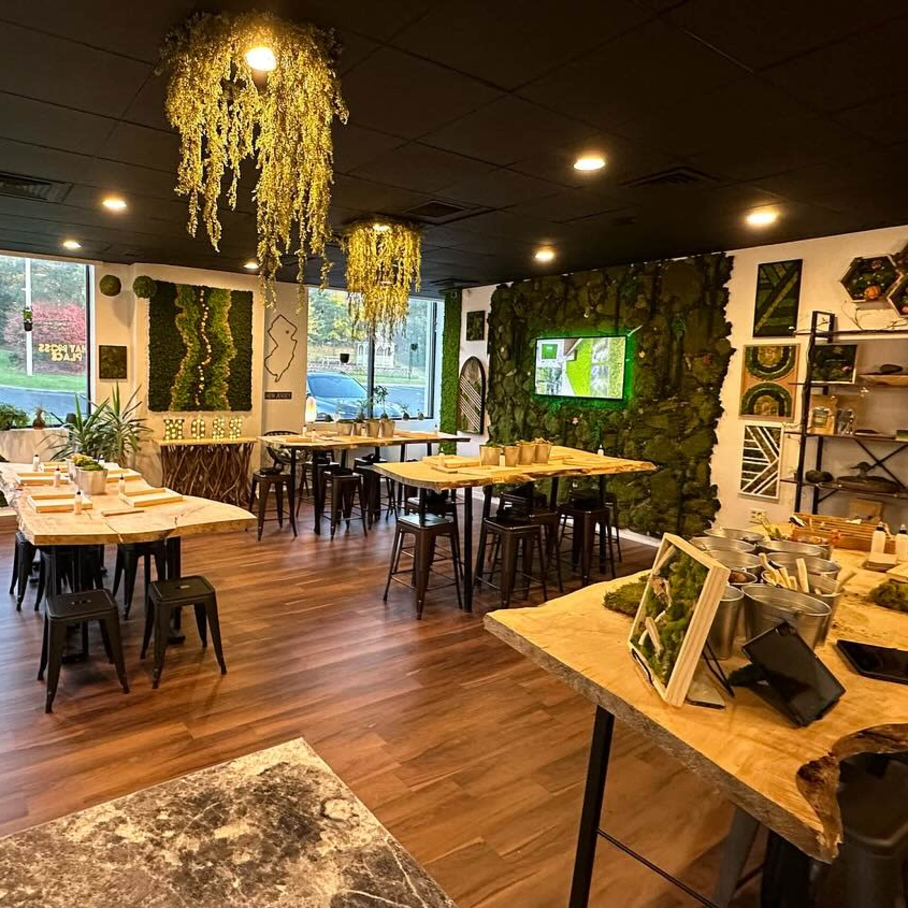 Mossy Nature Inspired Studio Image in Totowa, Totowa, NJ