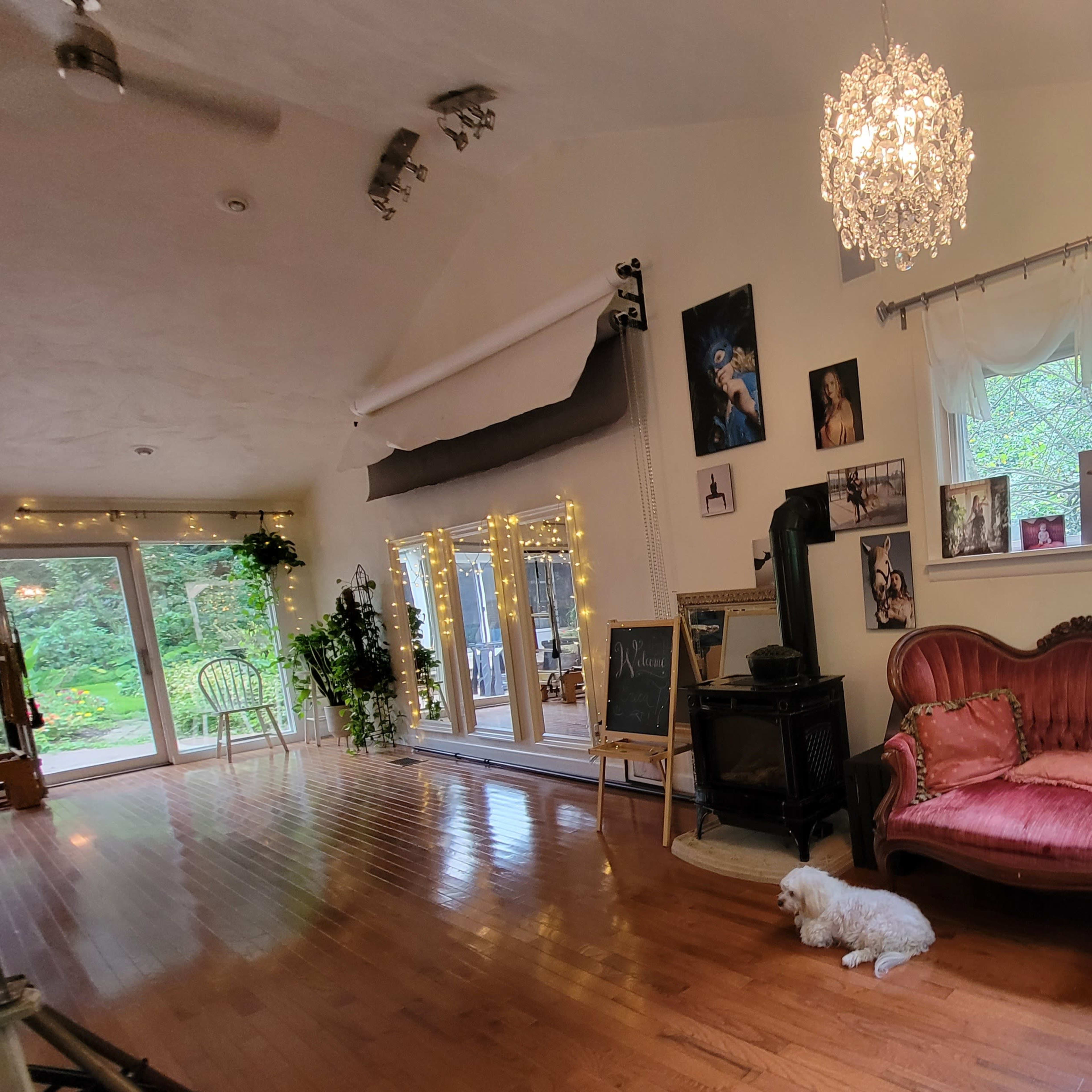 A spacious living area with hardwood floors, a pink vintage sofa, a grey armchair, framed photographs on the walls, and a dog resting on the floor.