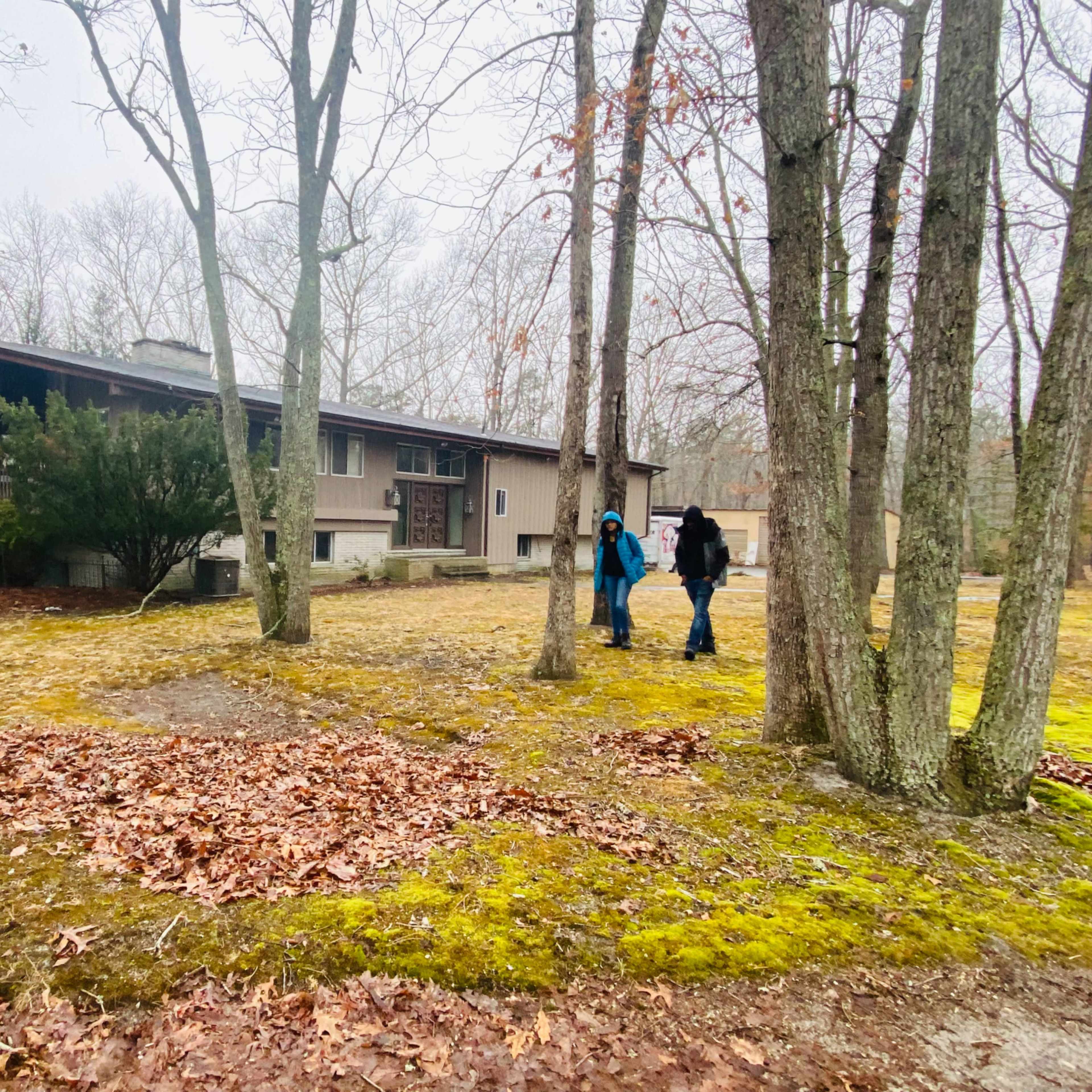 A modern house is surrounded by trees and a yard covered in leaves, with two people walking nearby.
