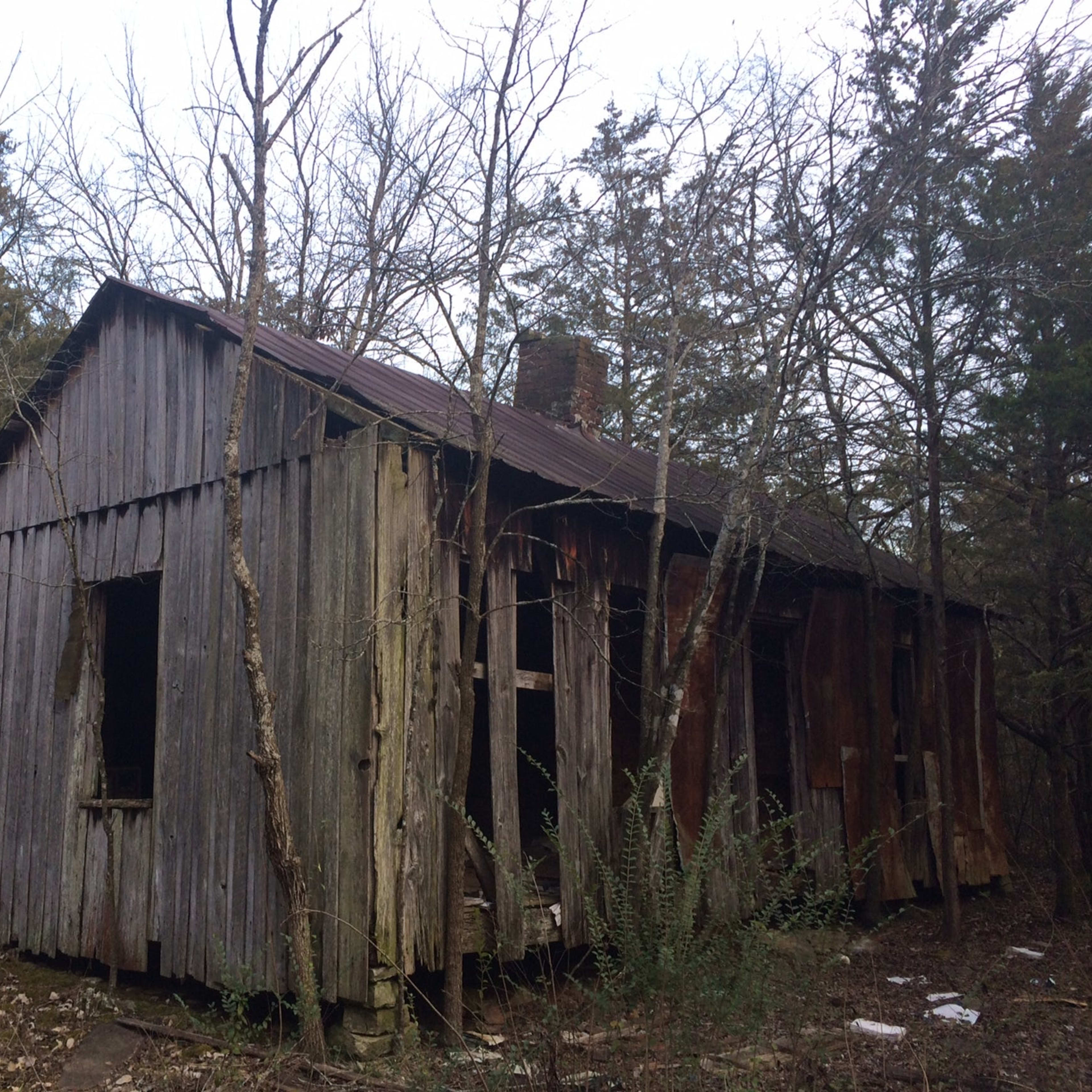 An old, weathered wooden house stands amid overgrown trees and brush in a rural setting.