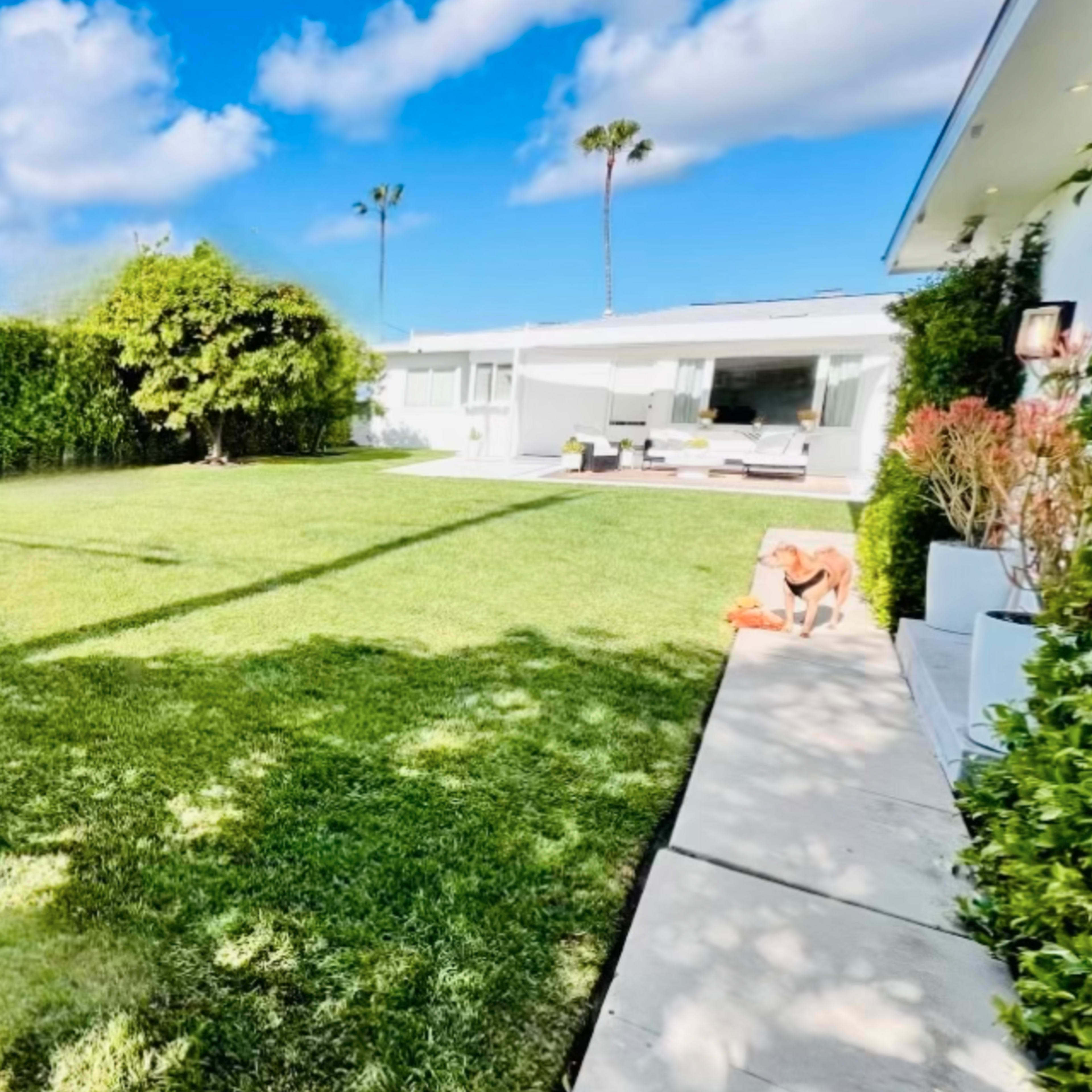 A well-maintained grassy backyard features a manicured hedge and a modern home in the background with a patio area.