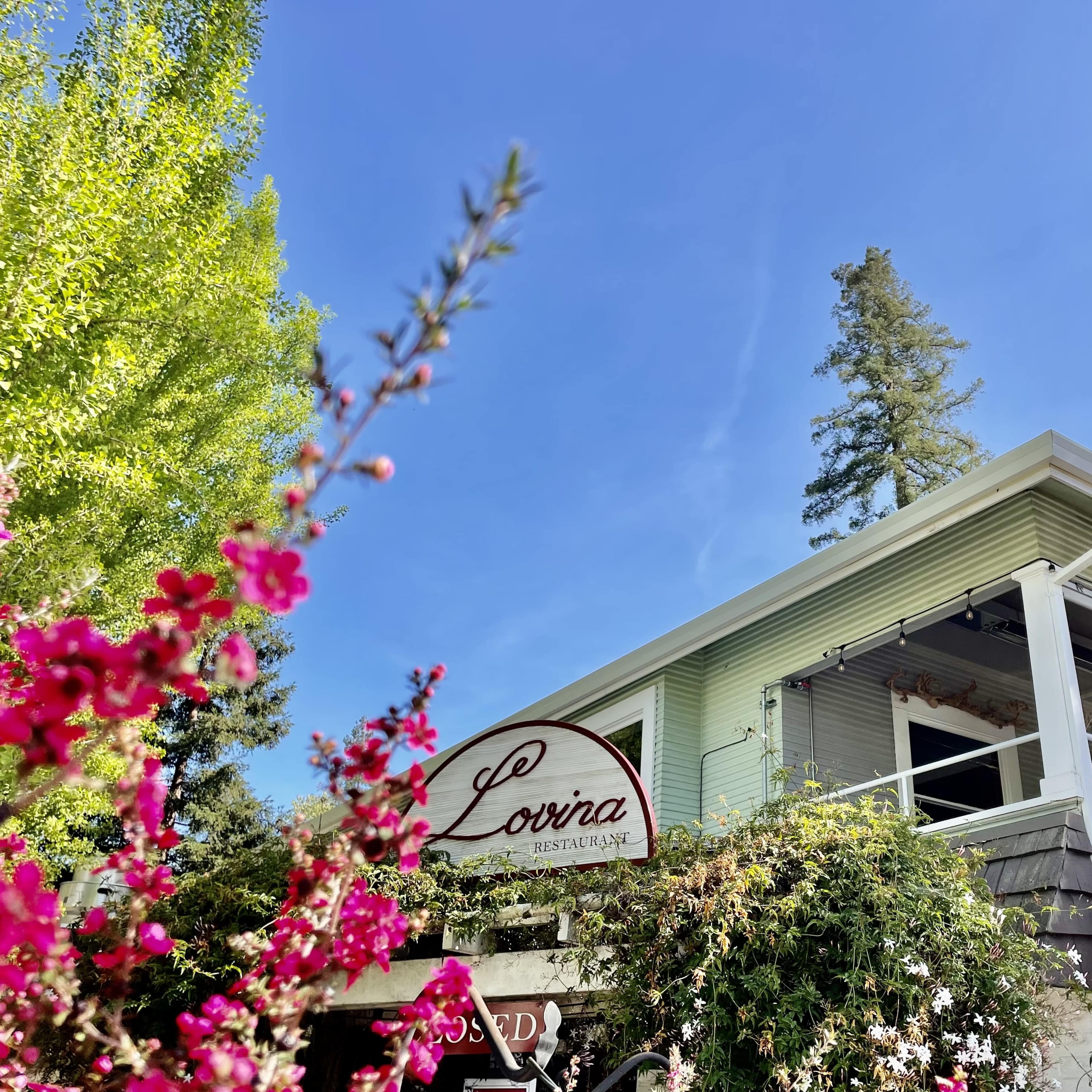 Historic Calistoga Craftsman with Covered Porch Image in Calistoga, Calistoga, CA