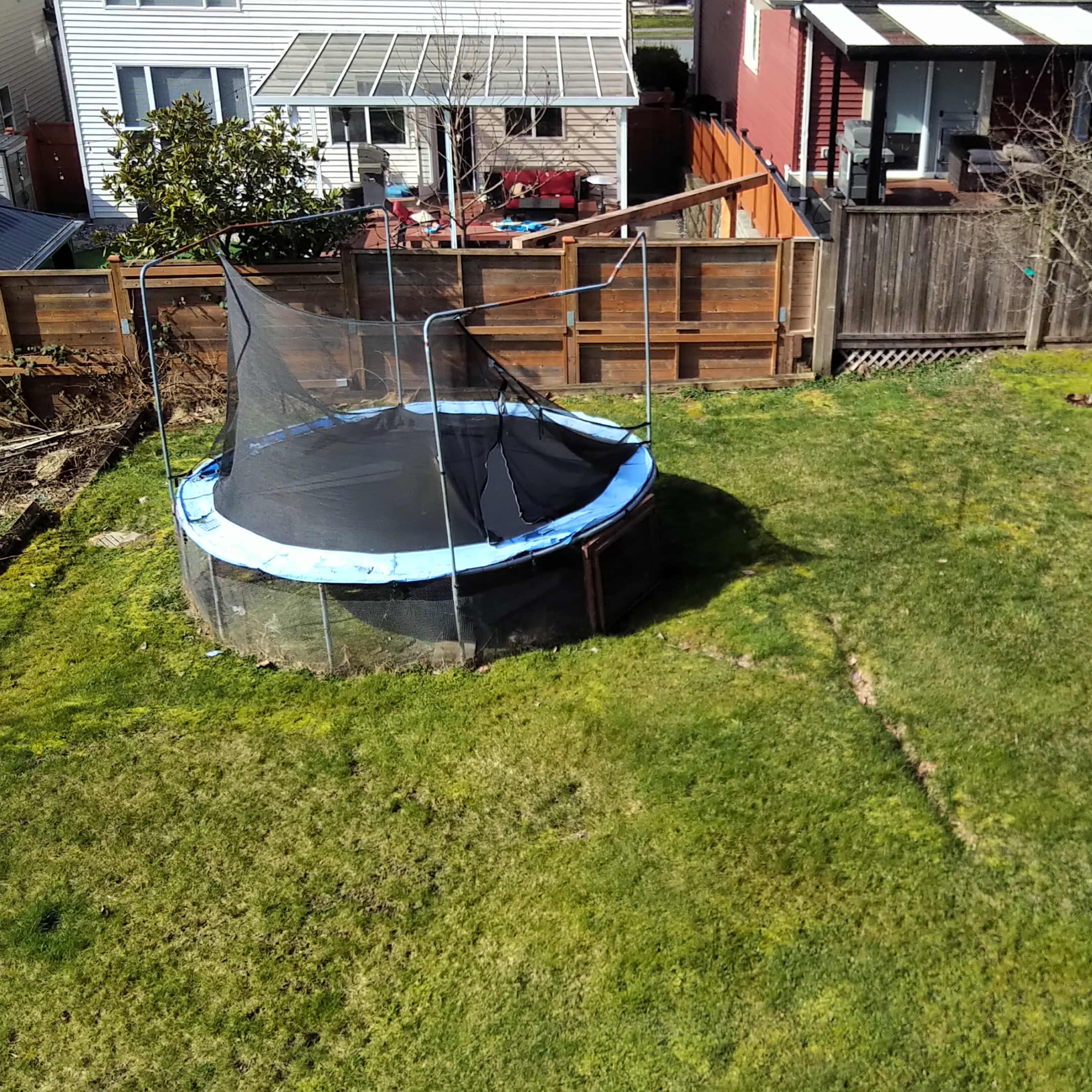 A backyard features a trampoline surrounded by a grassy area and wooden fences, with neighboring houses visible in the background.