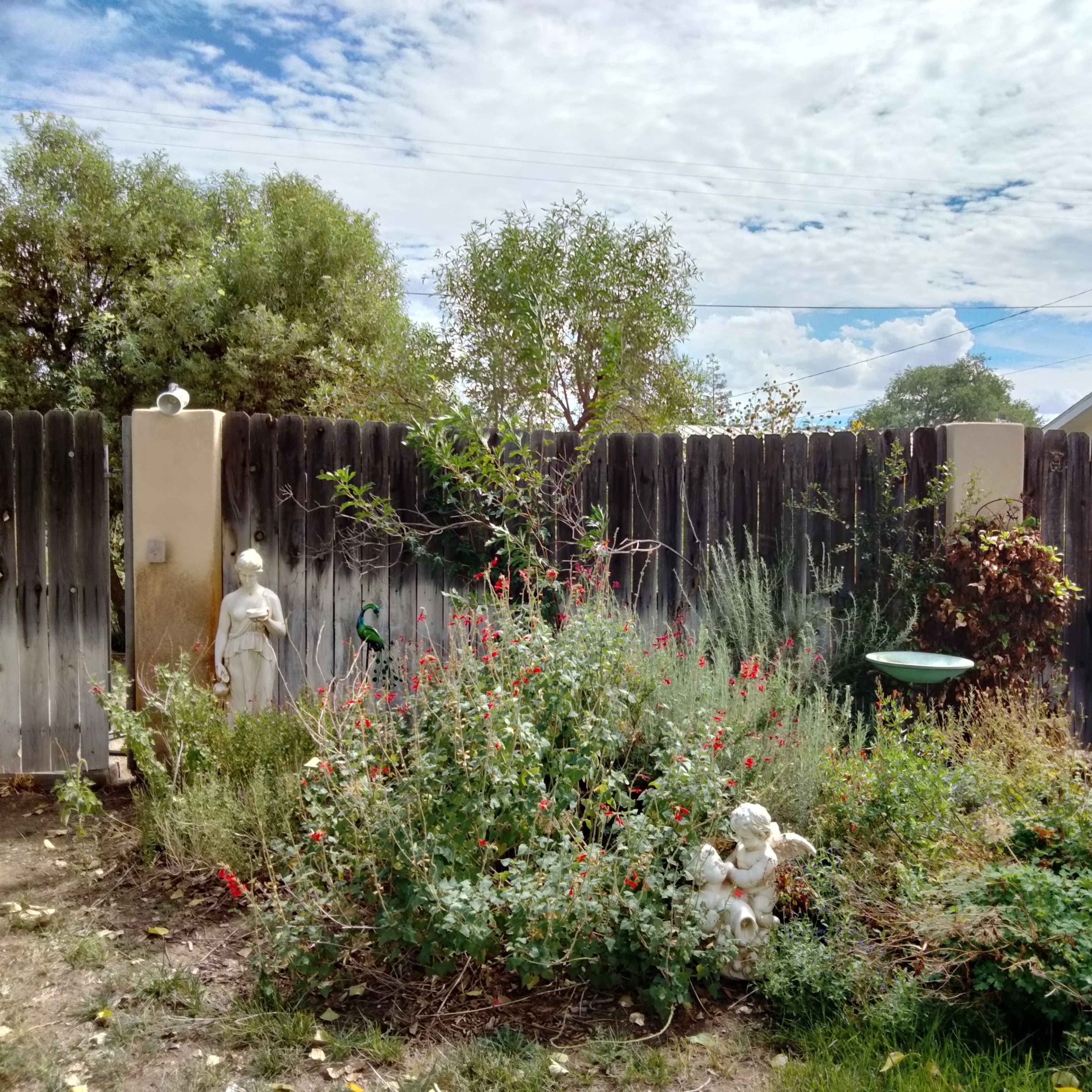 A overgrown garden with flowers and shrubs is enclosed by a wooden fence, featuring two statues and surrounded by trees and a house in the background.