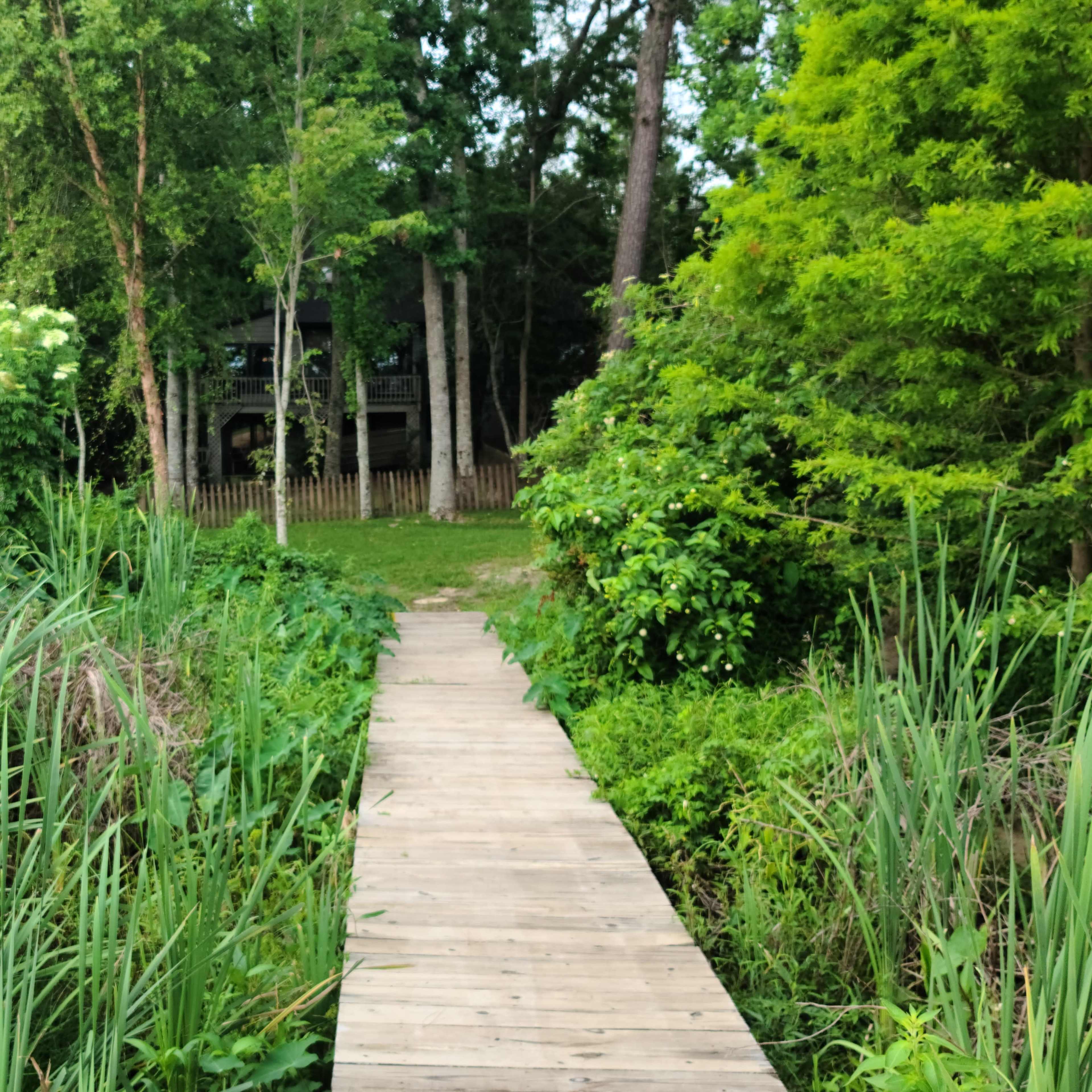 A wooden walkway leads through tall grass and greenery towards a house partially hidden by trees.