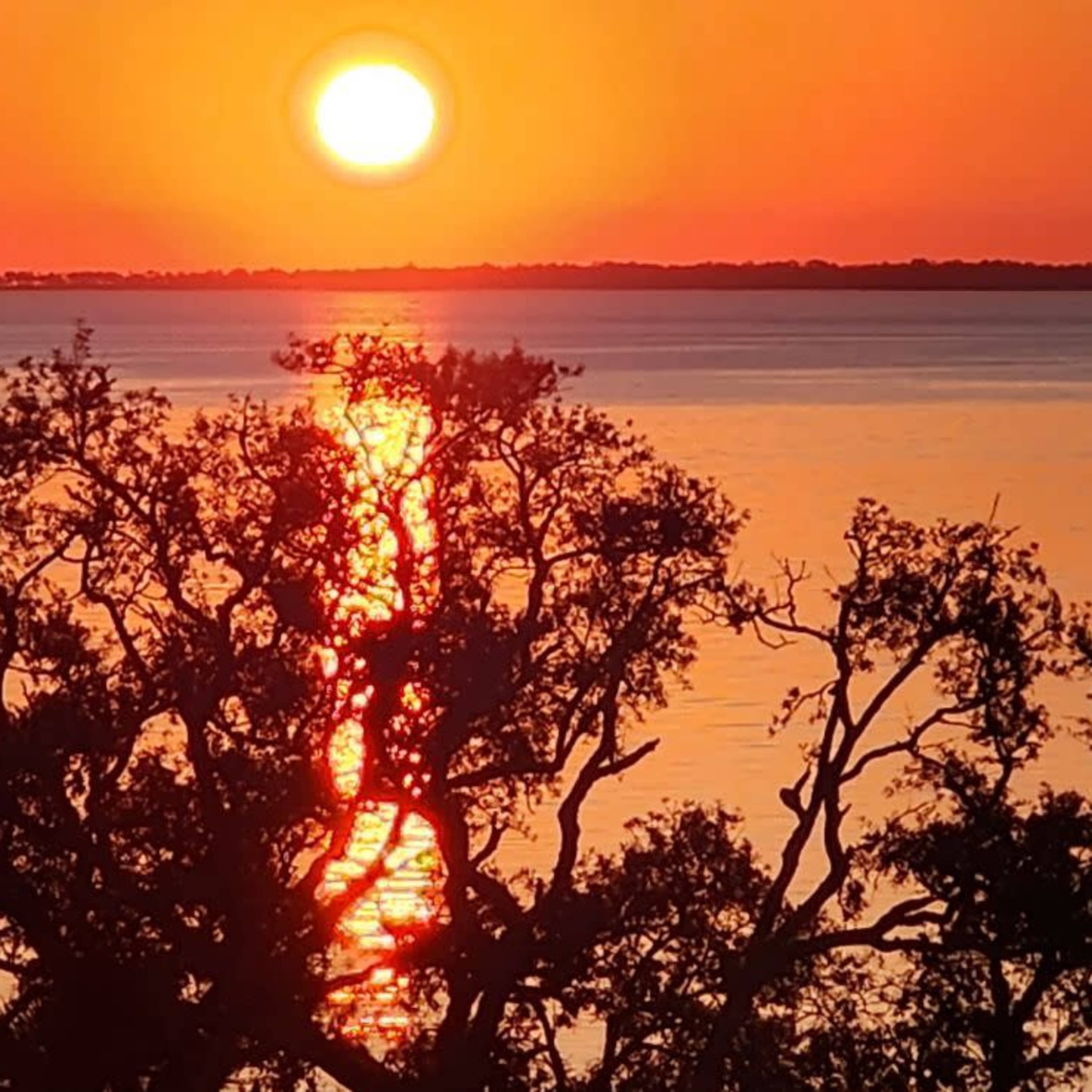 Rooms, decks & great lawn have panoramic views of the Gulf Image in Carrabelle, Carrabelle, FL