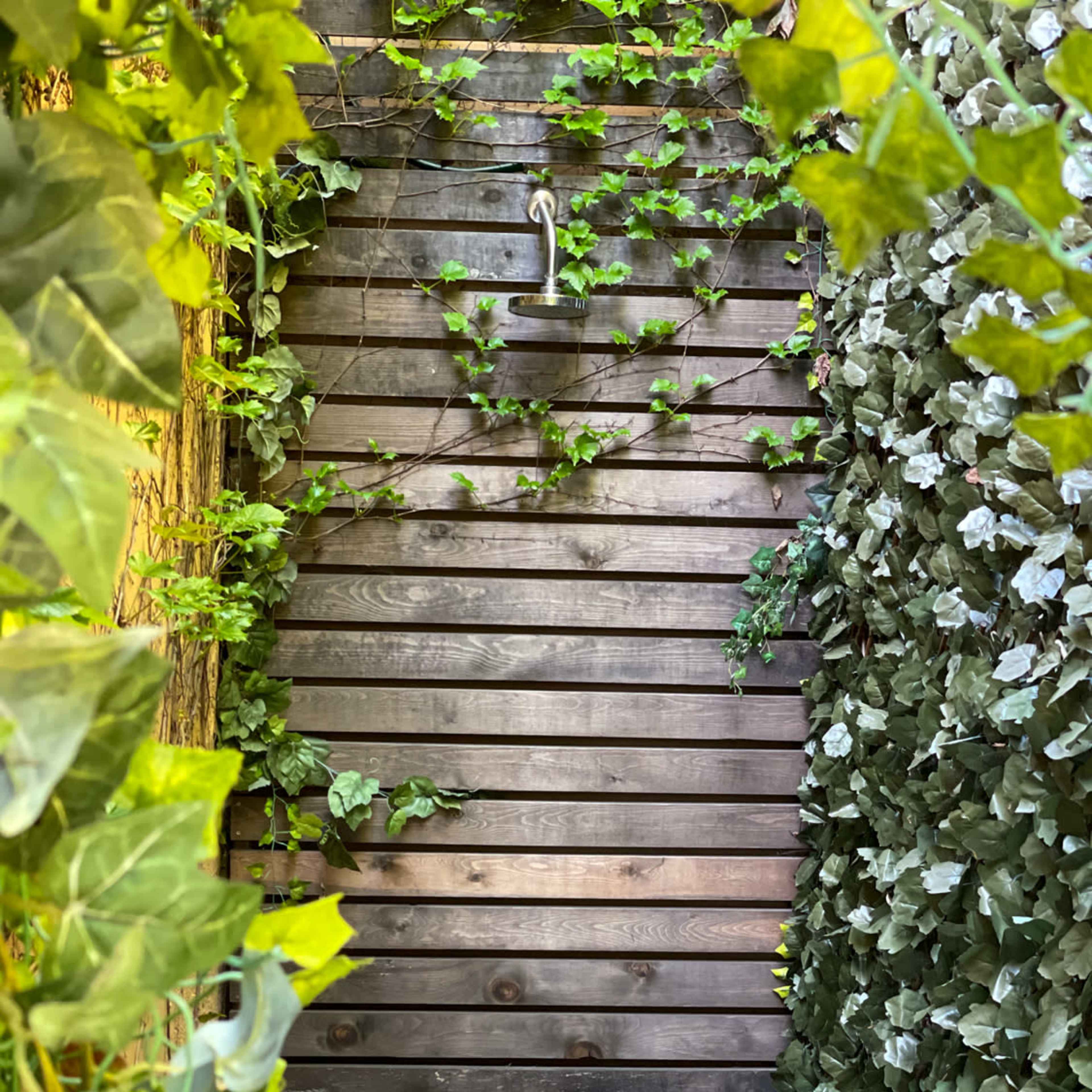A narrow wooden pathway flanked by greenery on both sides, with vines climbing the walls.