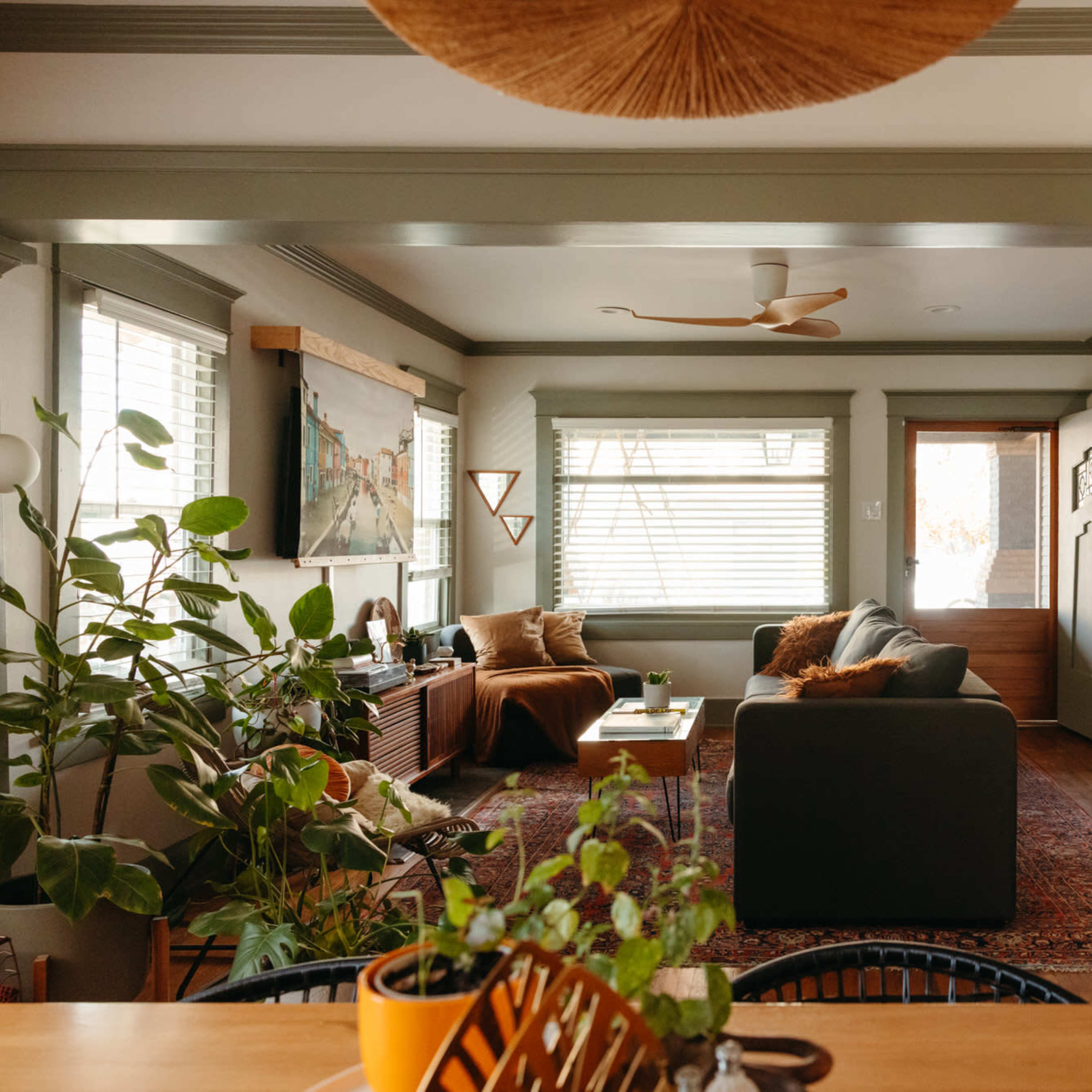 A cozy living room with plants, a sofa, a coffee table, and large windows providing natural light.