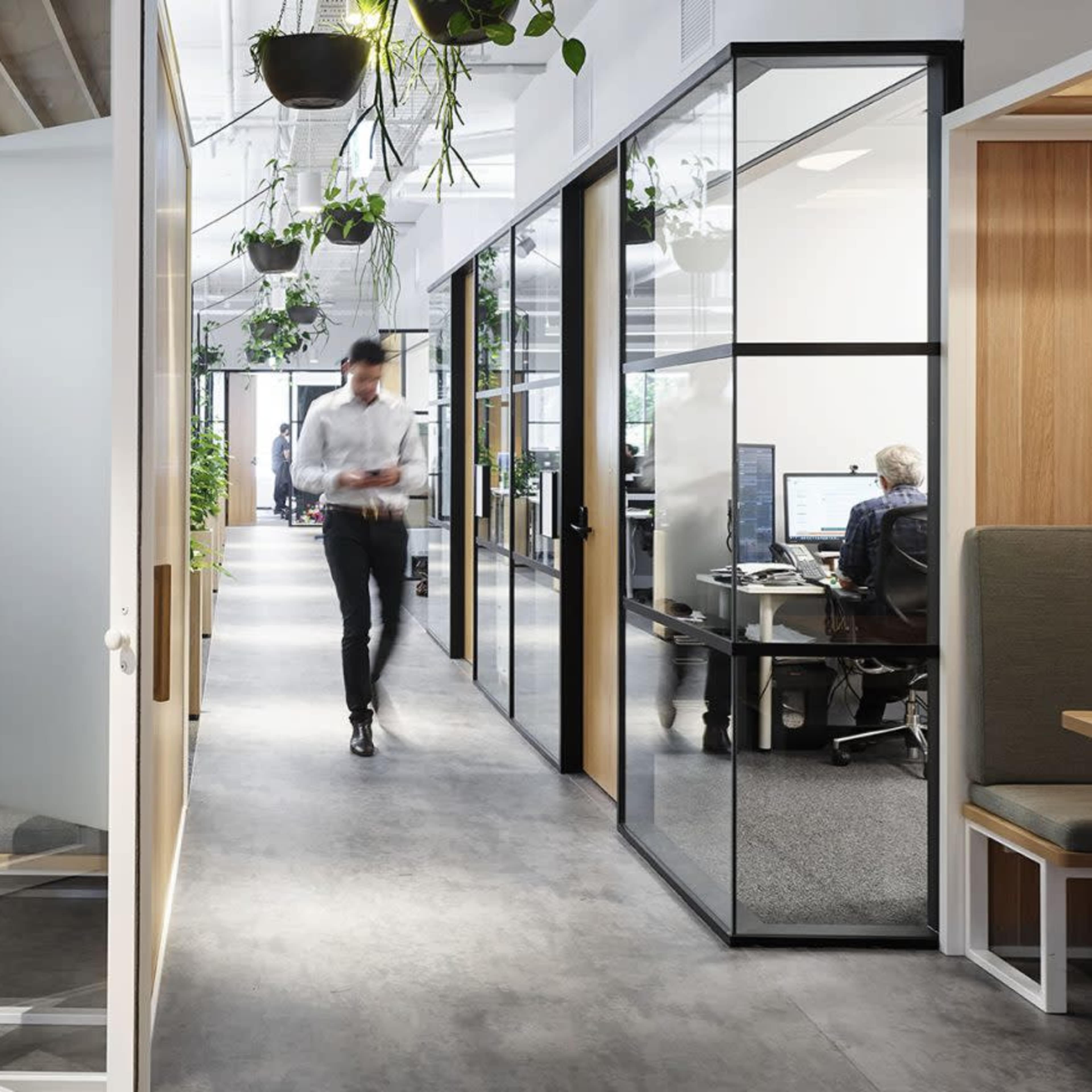 A modern office interior features glass-walled meeting rooms and open workspaces with greenery hanging from the ceiling.